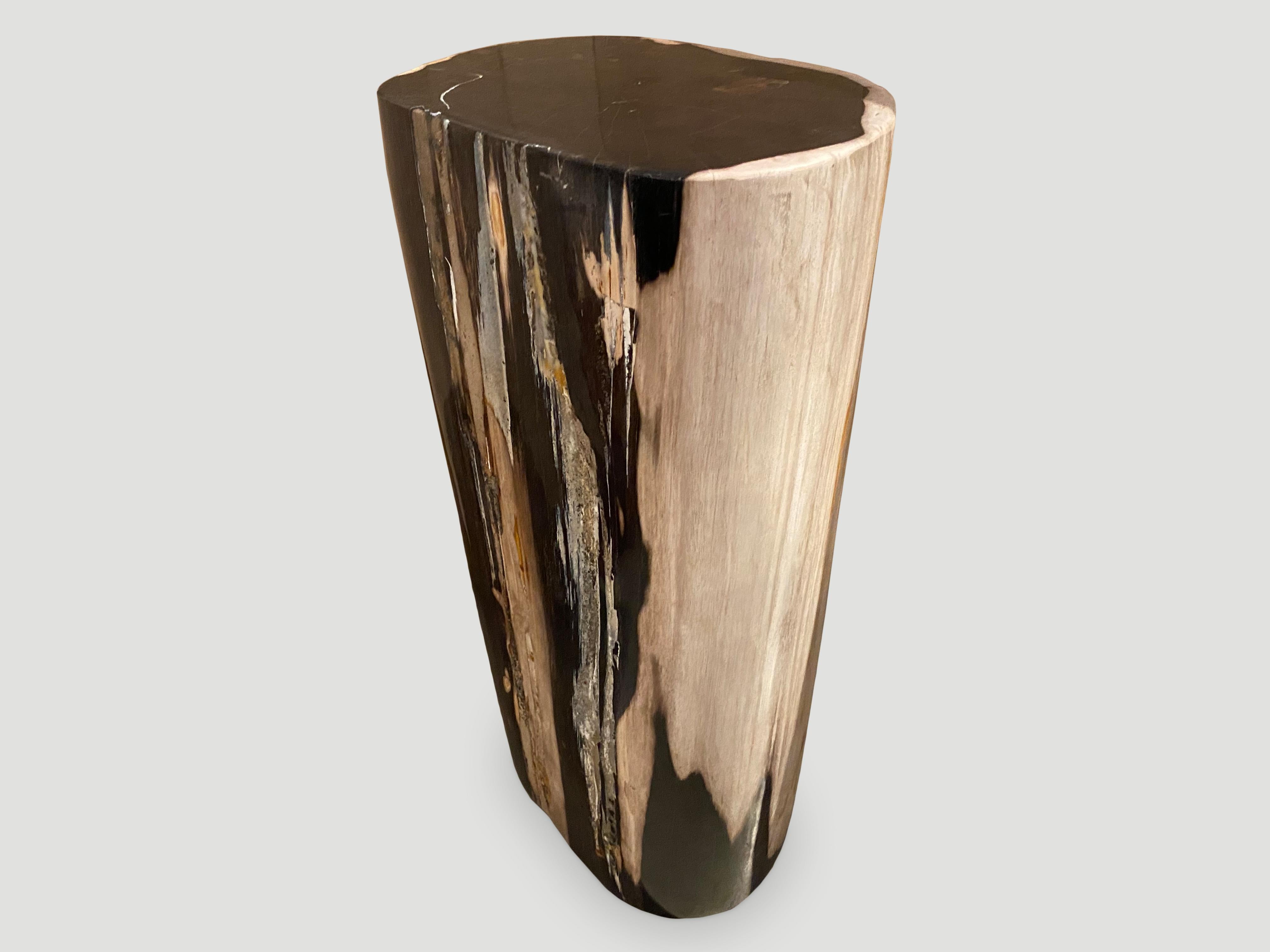 Bois Piédestal de table d'appoint Andrianna Shamaris en bois pétrifié de haute qualité, très lisse en vente