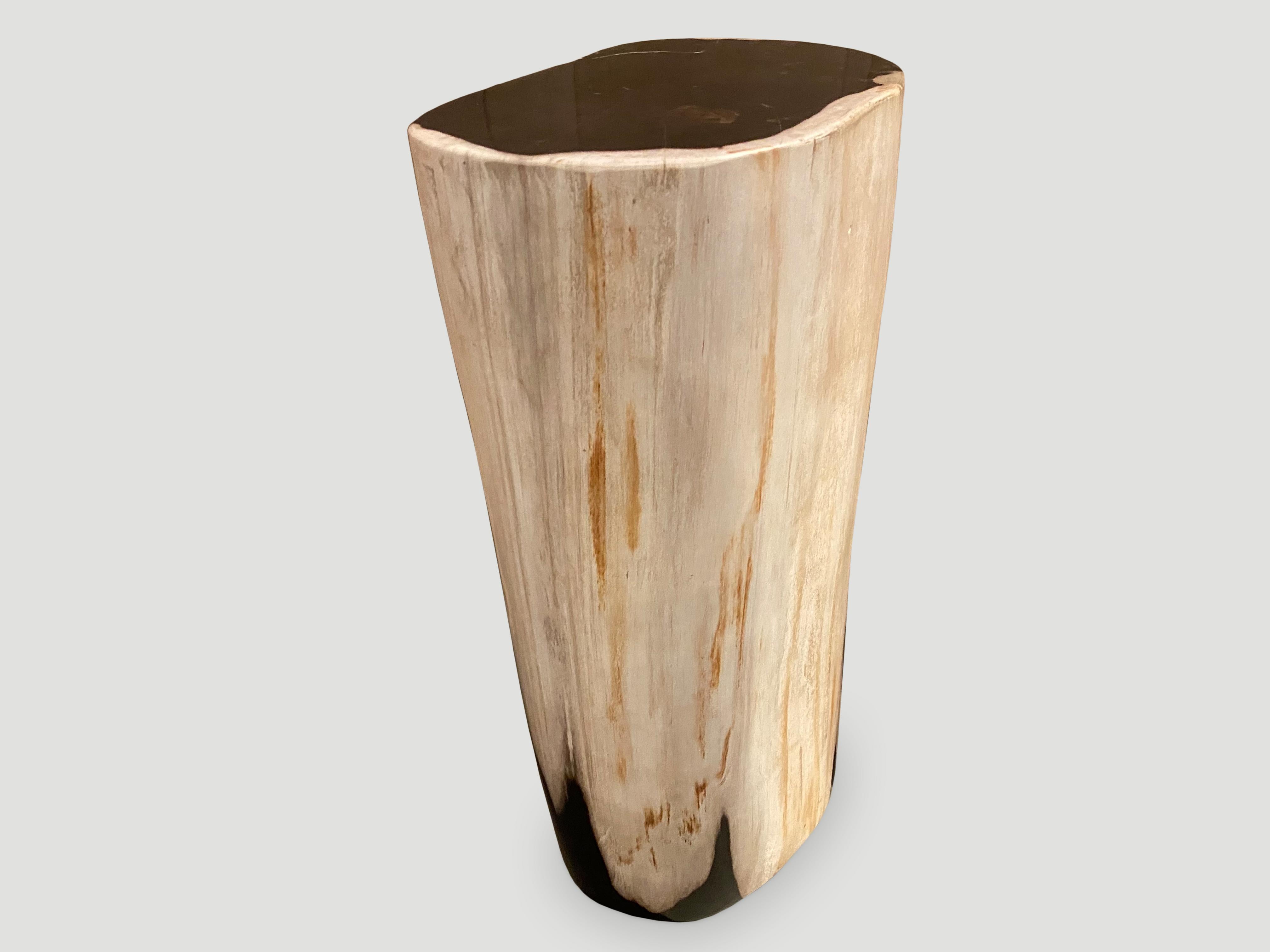 Piédestal de table d'appoint Andrianna Shamaris en bois pétrifié de haute qualité, très lisse en vente 1