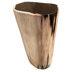 Andrianna Shamaris Pedestal de mesa auxiliar de madera petrificada de alta calidad super lisa