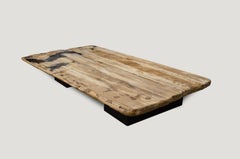 Andrianna Shamaris Super Smooth Petrified Wood Coffee Table