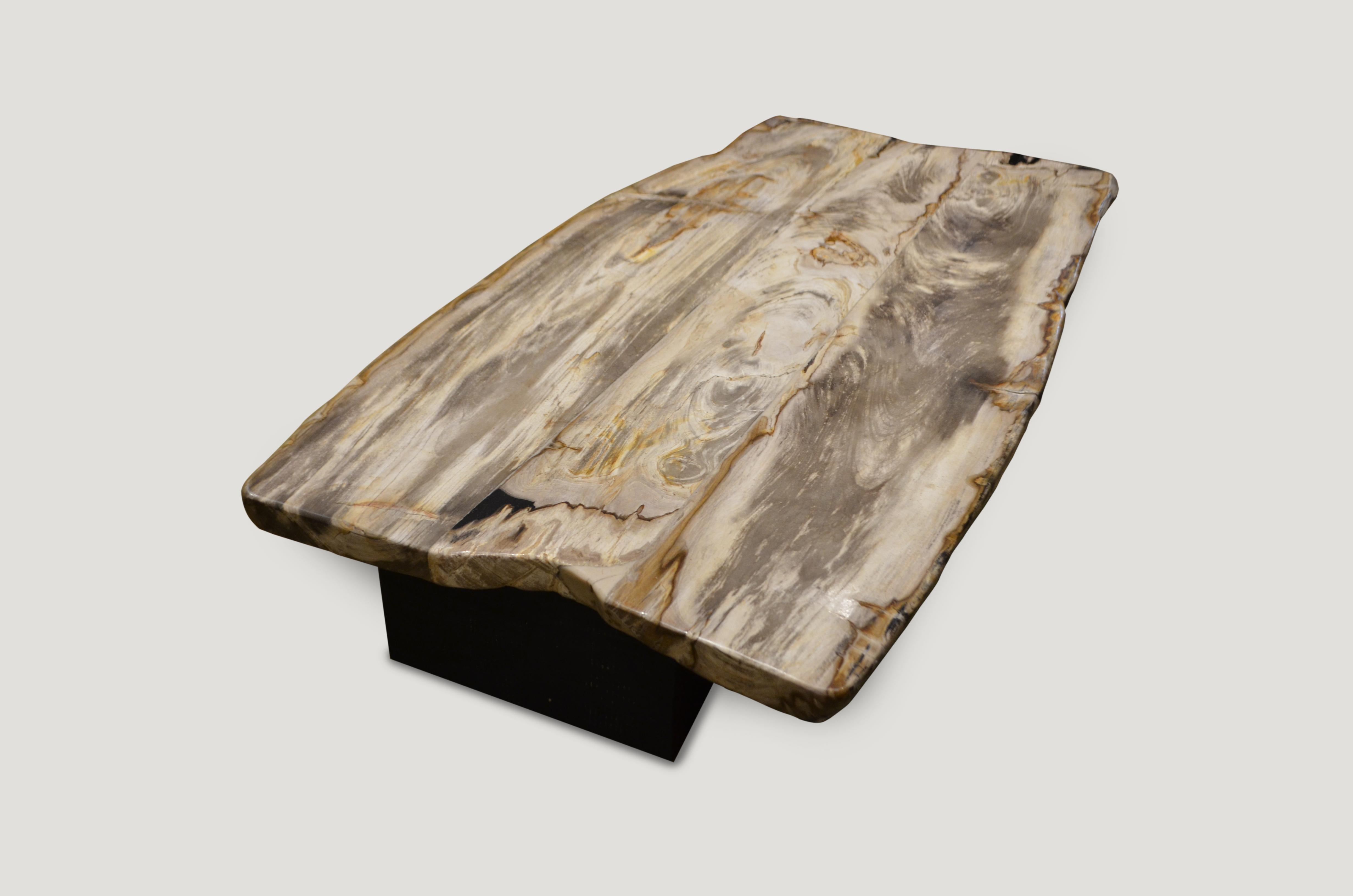Organic Modern Andrianna Shamaris Super Smooth Petrified Wood Coffee Table