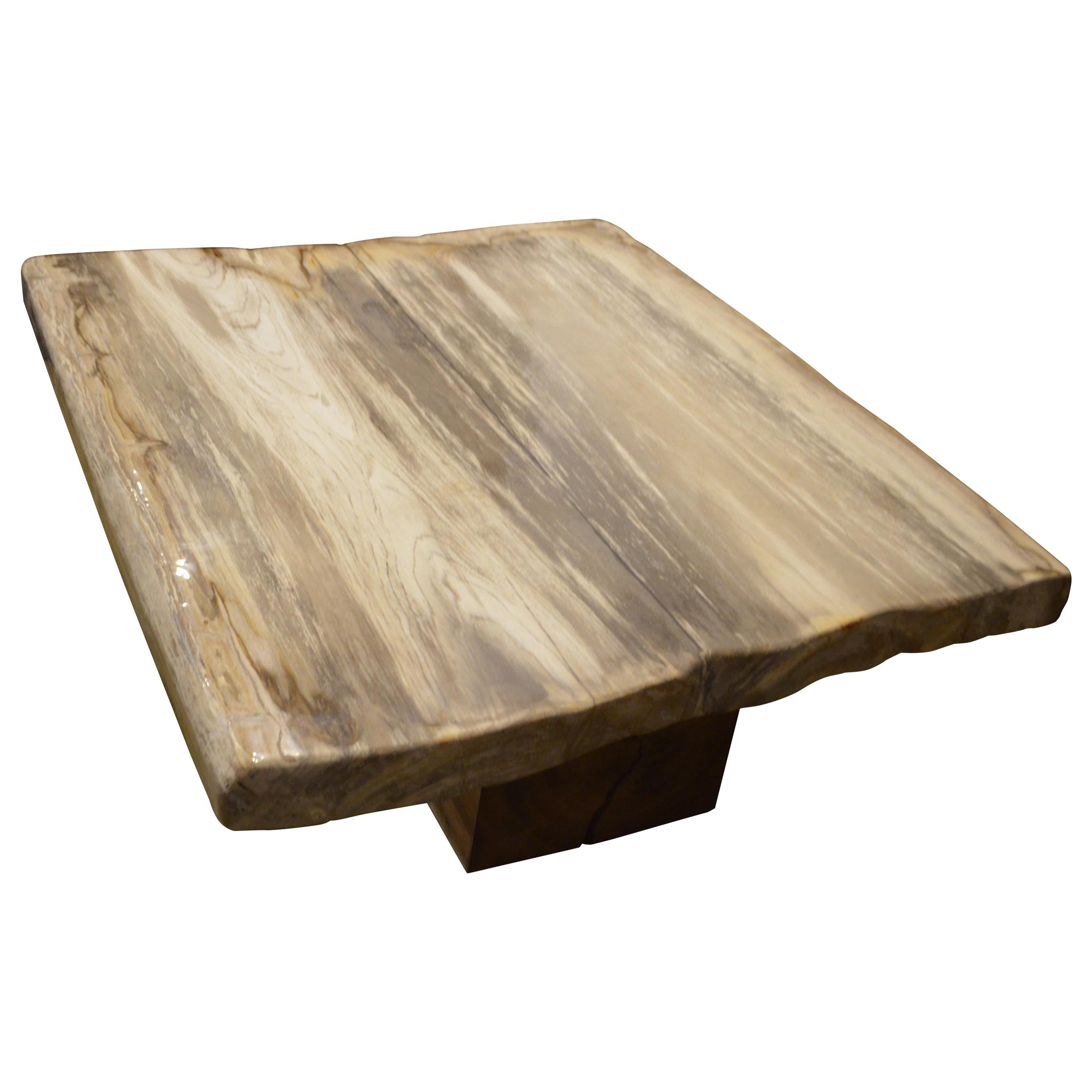 Andrianna Shamaris Super Smooth Petrified Wood Coffee Table In Excellent Condition In New York, NY