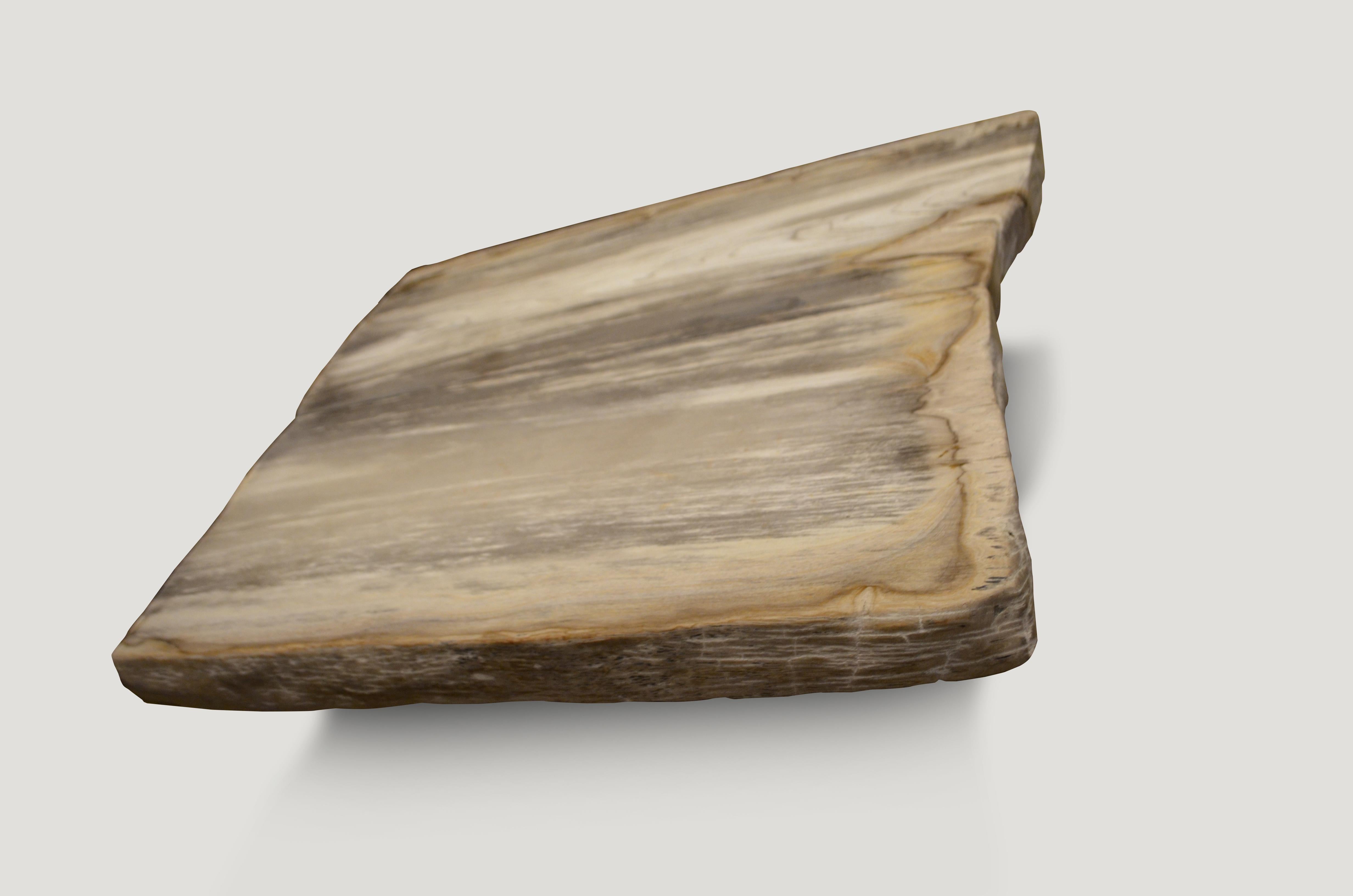 18th Century and Earlier Andrianna Shamaris Super Smooth Petrified Wood Coffee Table