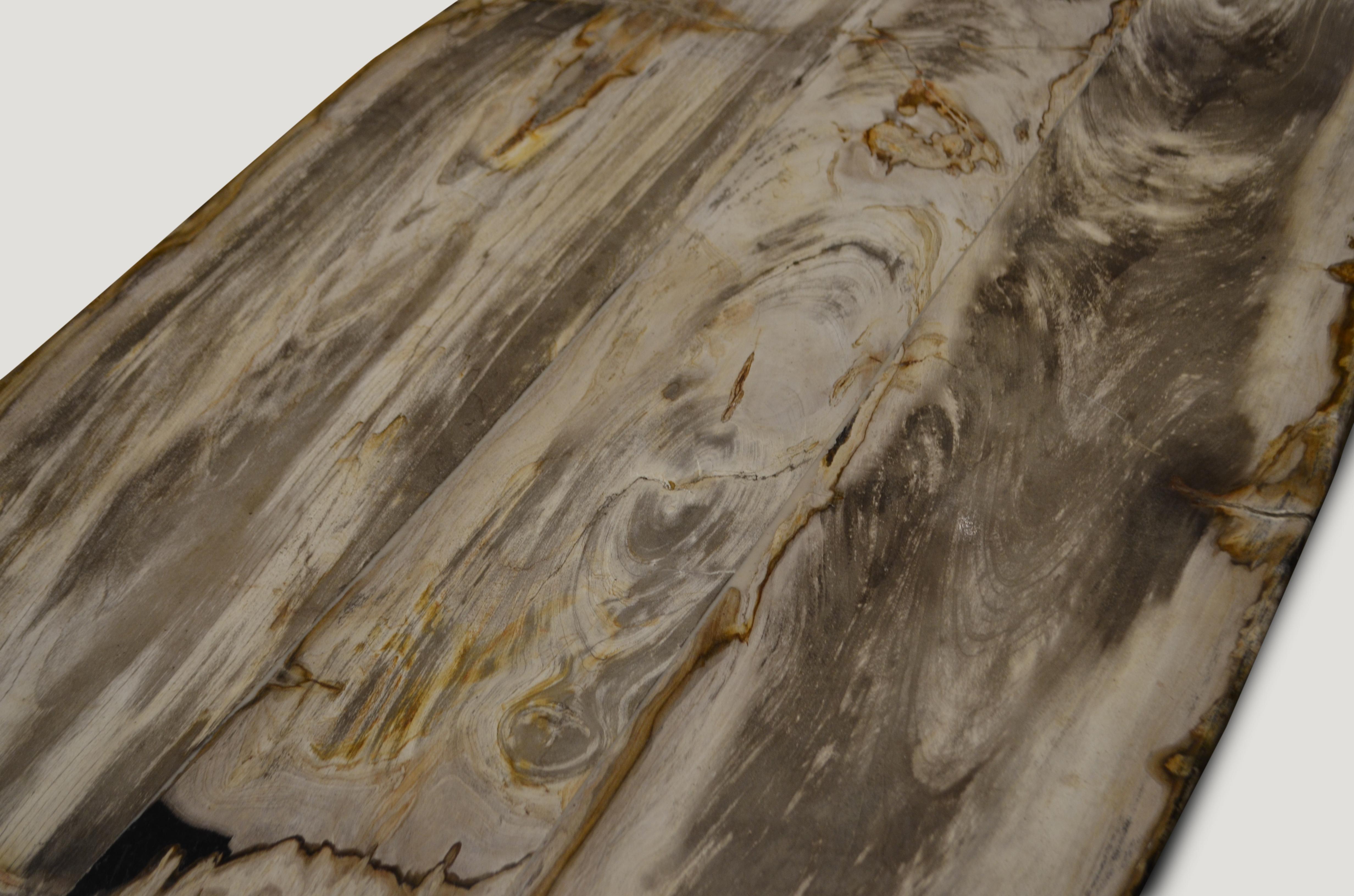 Andrianna Shamaris Super Smooth Petrified Wood Coffee Table In Excellent Condition In New York, NY