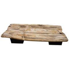 Andrianna Shamaris Super Smooth Petrified Wood Coffee Table