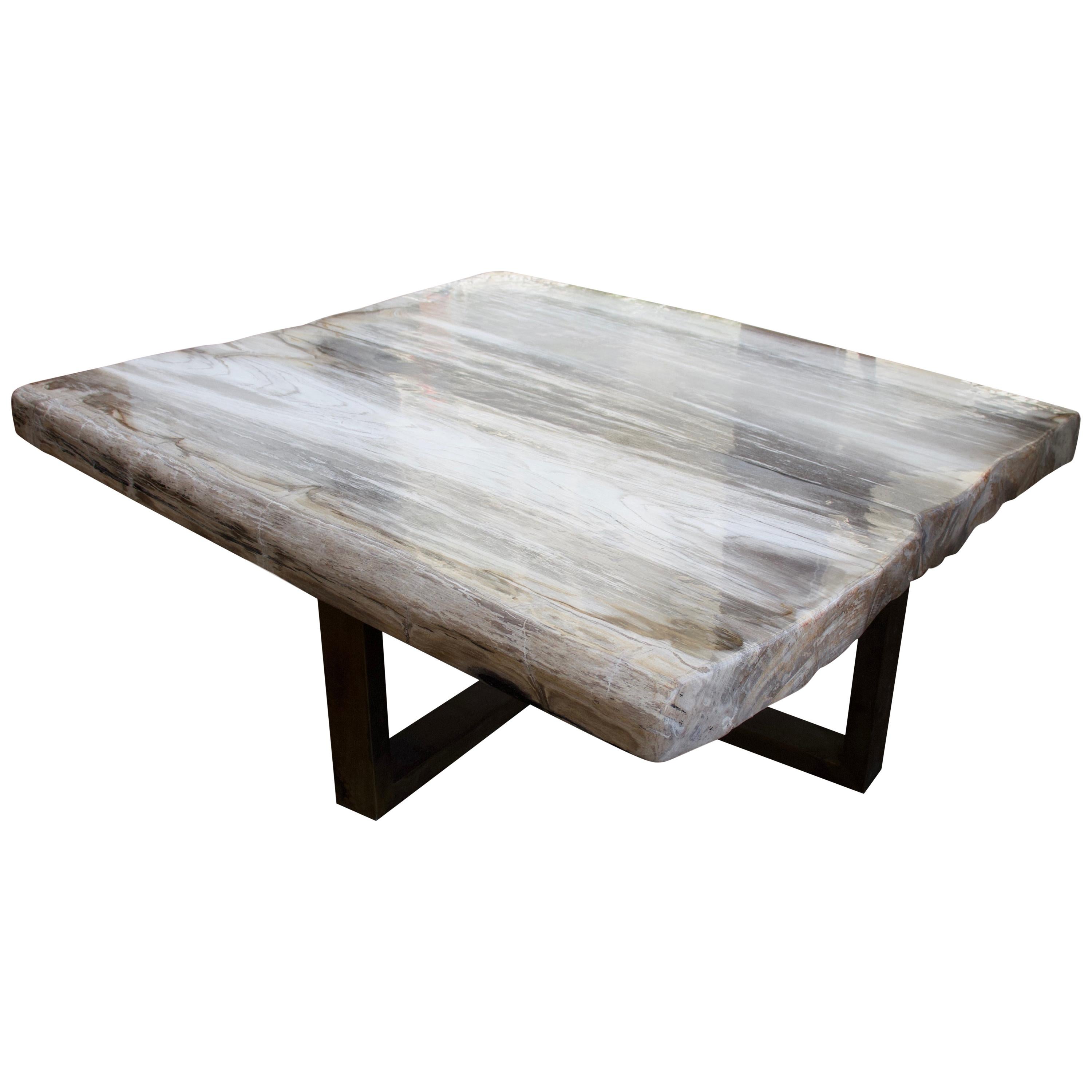 Andrianna Shamaris Super Smooth Petrified Wood Coffee Table