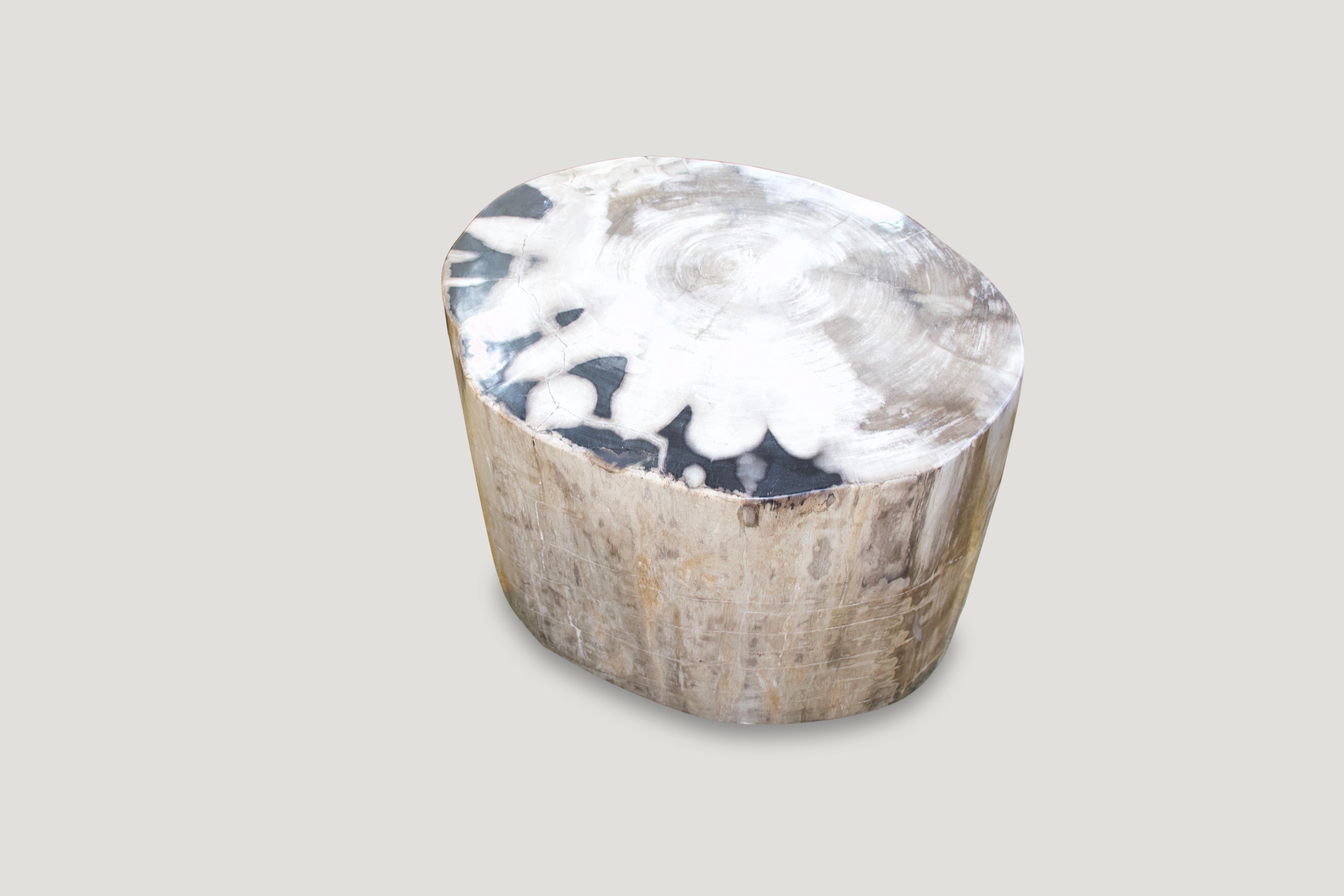 Impressive super smooth petrified wood coffee table or side table in this rare XL size with sensational contrasting tones and natural pattern. We have a pair cut from the same log. The price and size represents the images shown of one.

We source