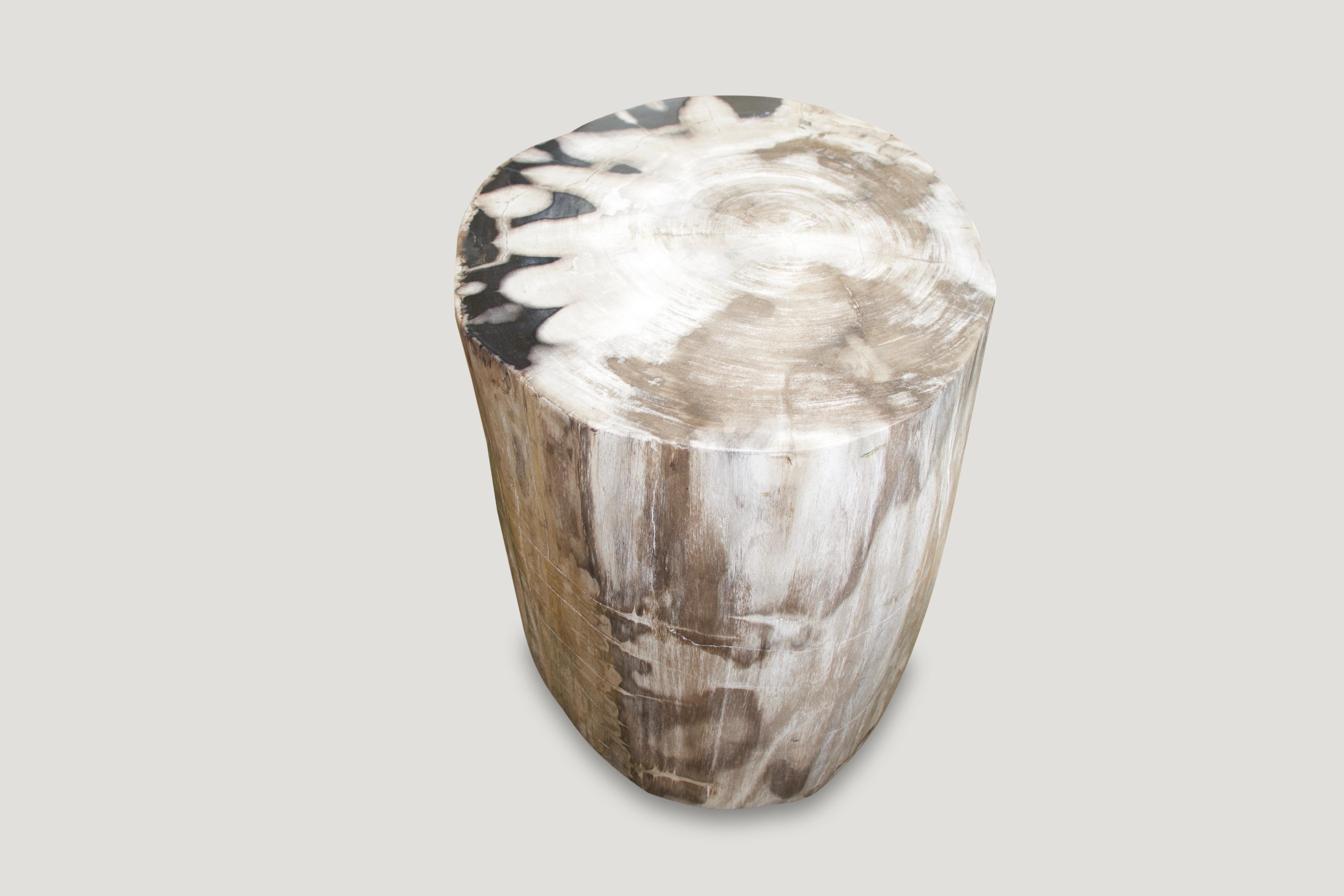 Andrianna Shamaris Super Smooth Petrified Wood Coffee Table or Side Table In Excellent Condition In New York, NY