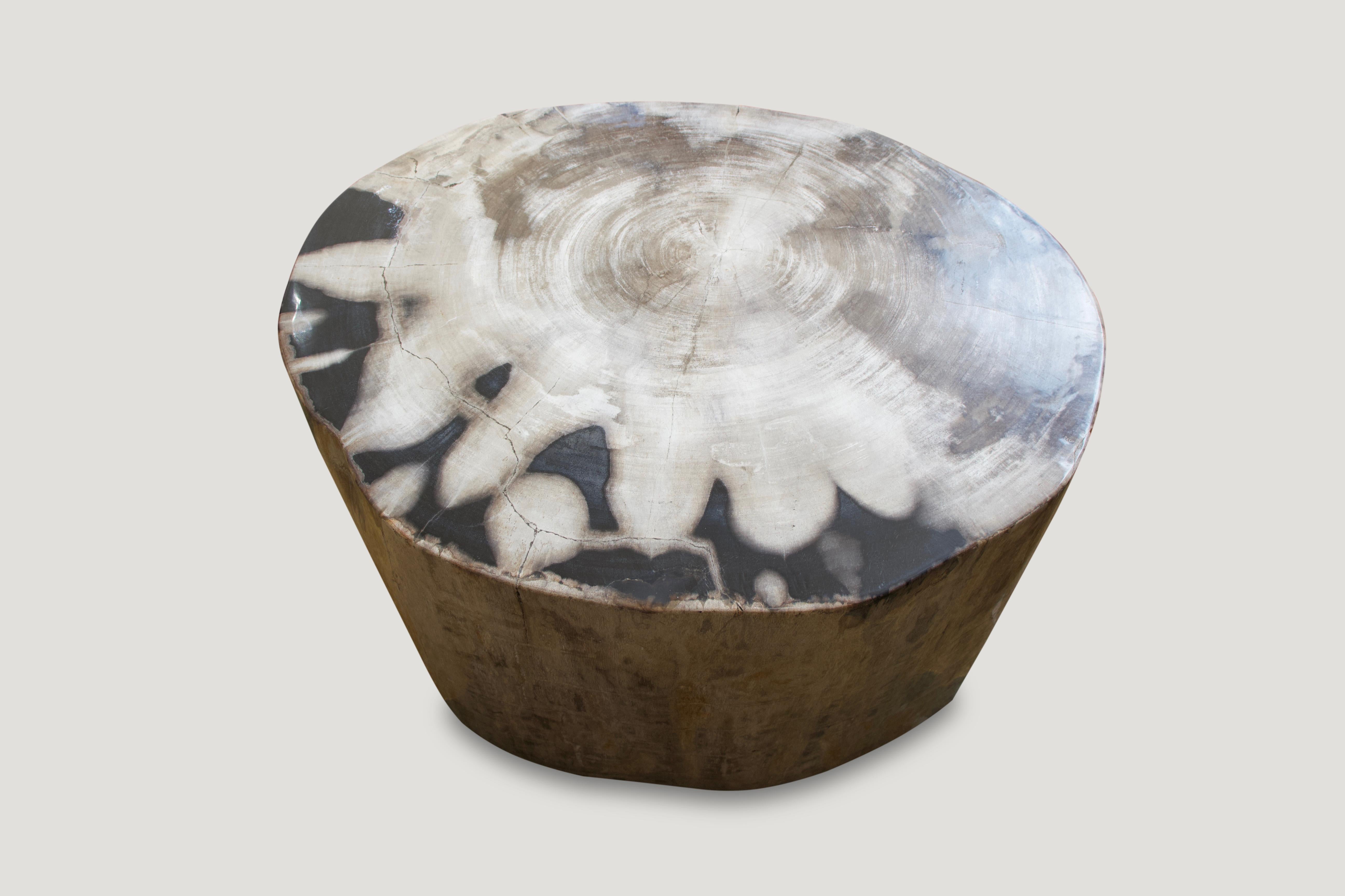 18th Century and Earlier Andrianna Shamaris Super Smooth Petrified Wood Coffee Table or Side Table