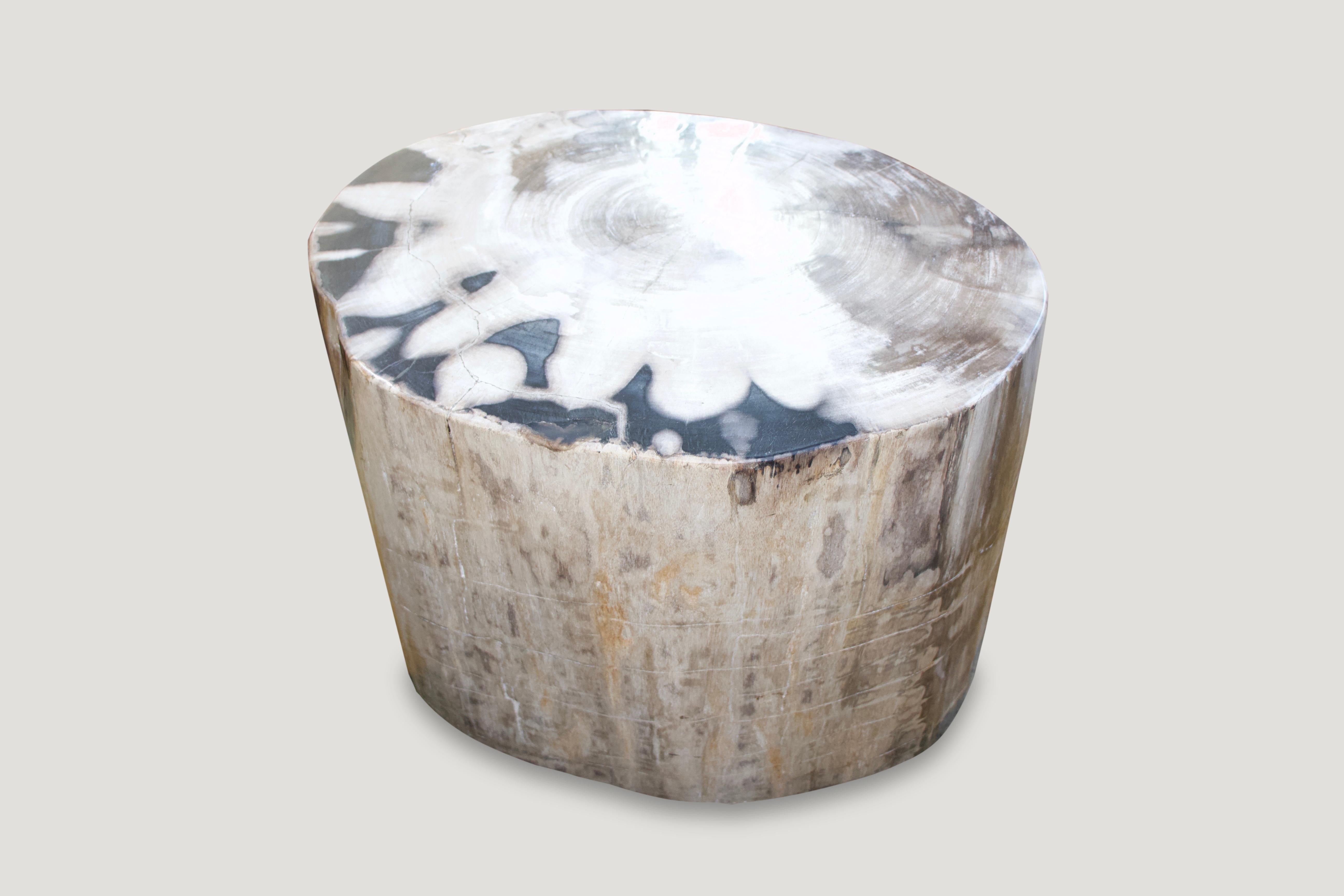 Andrianna Shamaris Super Smooth Petrified Wood Coffee Table or Side Table 1