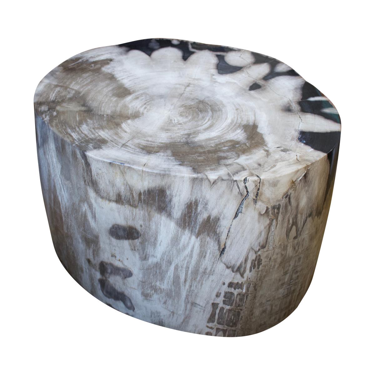 Andrianna Shamaris Super Smooth Petrified Wood Coffee Table or Side Table
