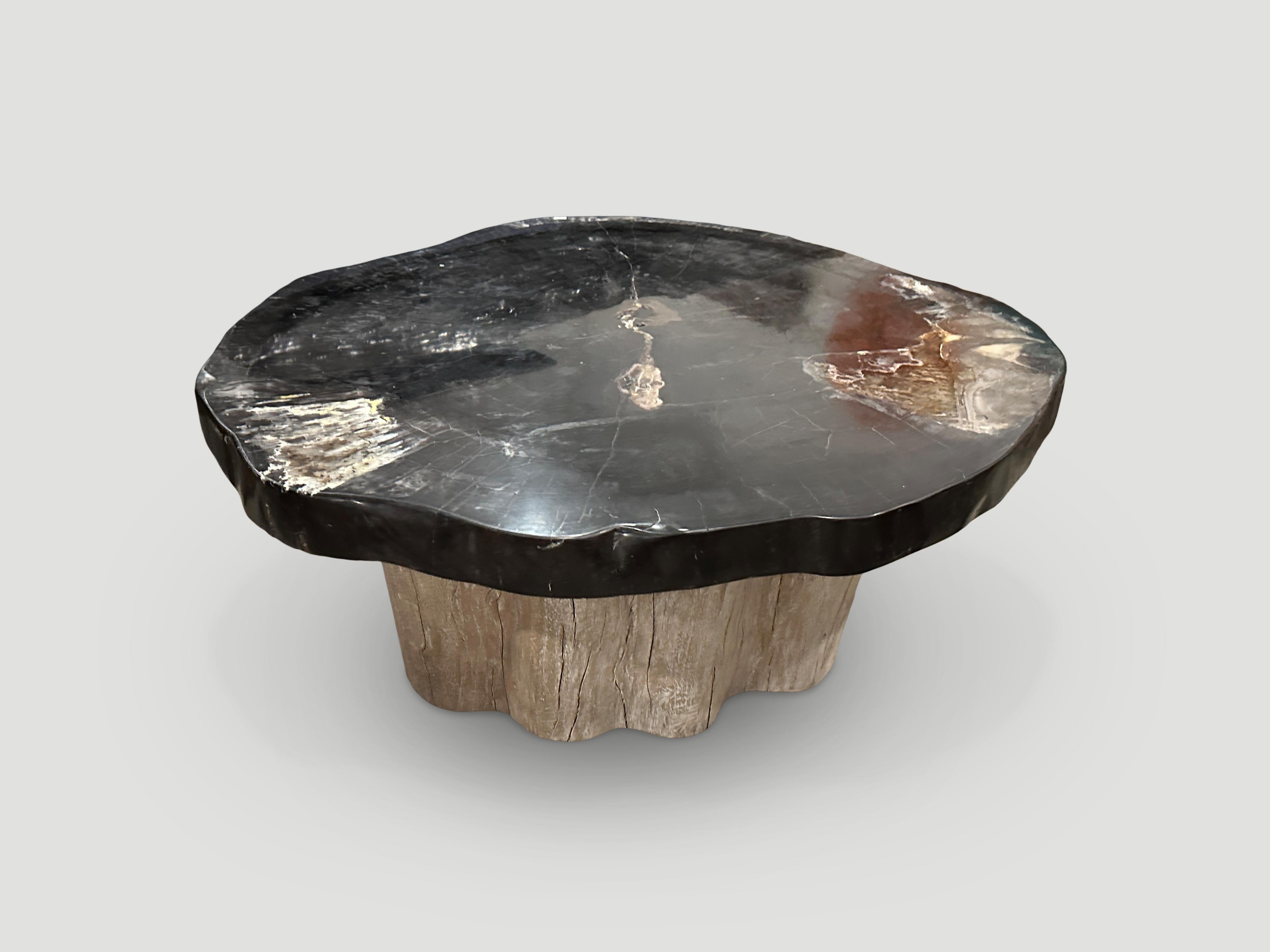 Impressive two and a half inch thick, high quality petrified wood coffee table, resting on an organic white washed teak base. It’s fascinating how Mother Nature produces these stunning 40 million year old petrified teak logs with such contrasting