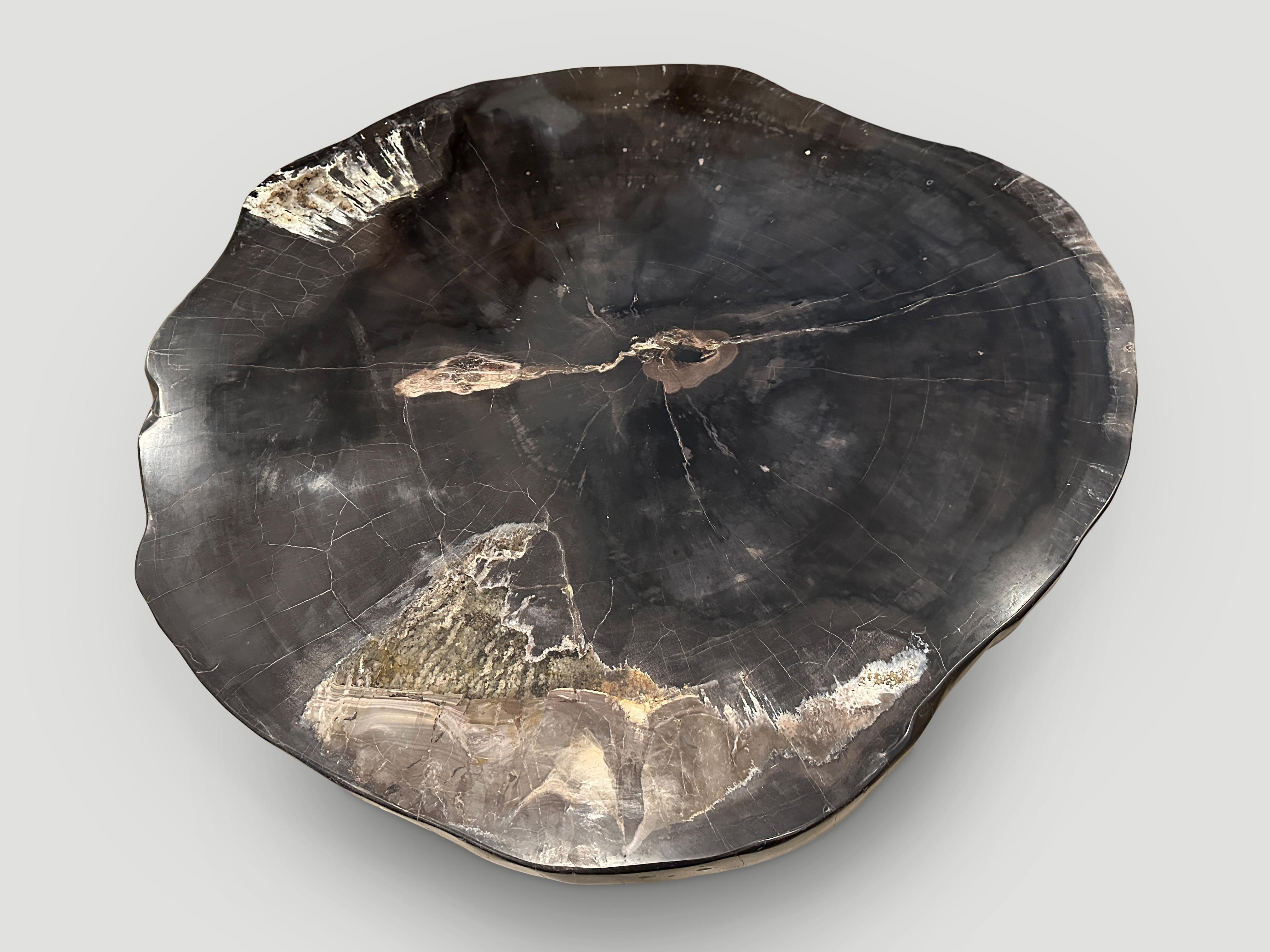 Contemporary Andrianna Shamaris Super Smooth Petrified Wood Coffee Table with Teak Base  For Sale