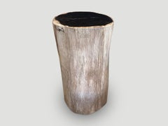 Andrianna Shamaris Super Smooth Petrified Wood Column Side Table