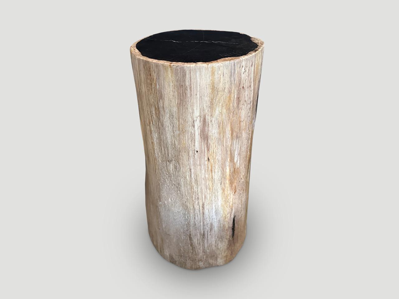 Organic Modern Andrianna Shamaris Super Smooth Petrified Wood Column Side Table