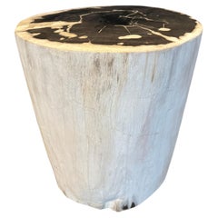 Andrianna Shamaris Super Smooth Petrified Wood Pedestal or Side Table