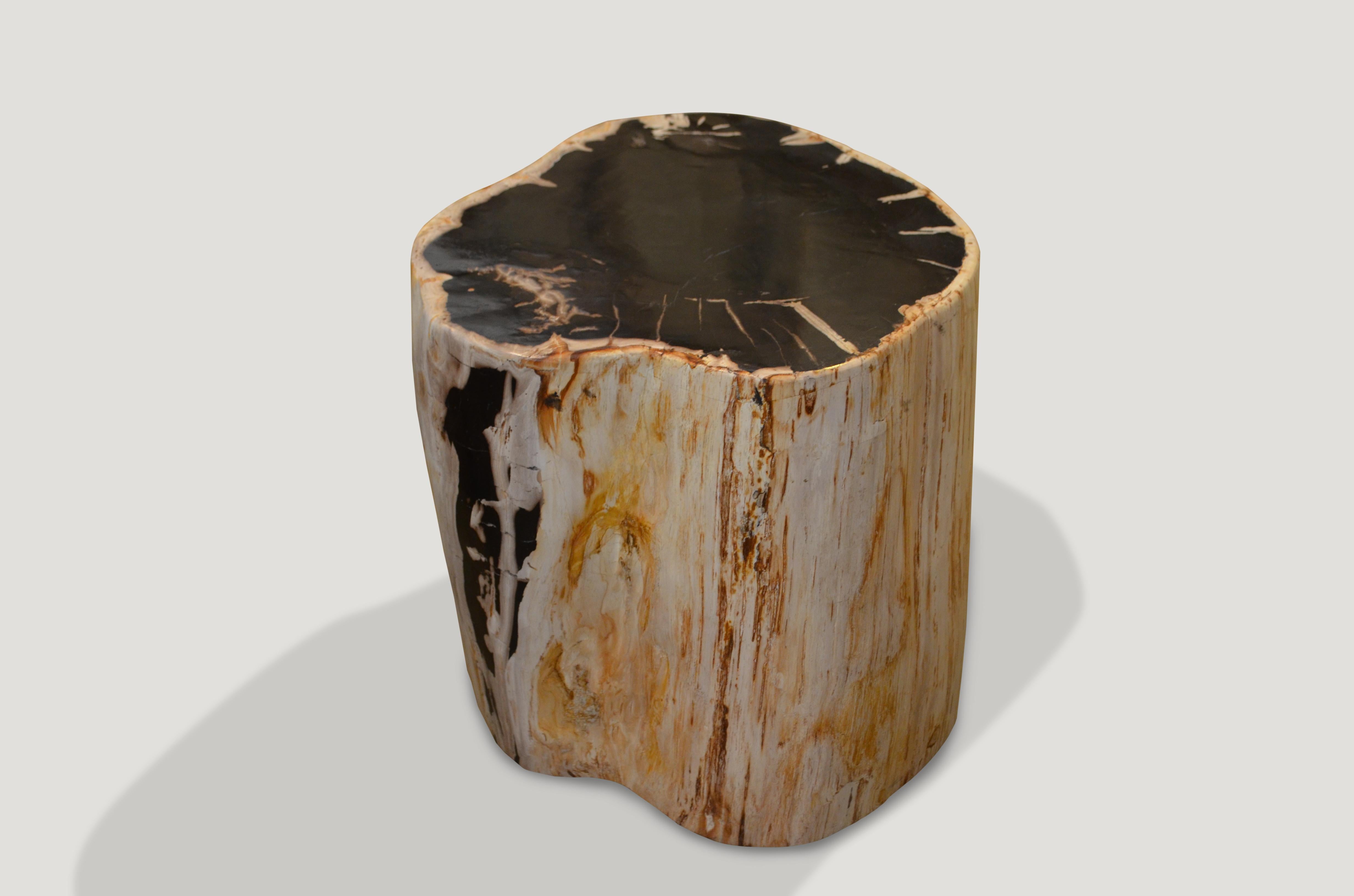 Contrasting color tones on this super smooth petrified wood side table.

We source the highest quality petrified wood available. Each piece is hand-selected and highly polished with minimal cracks. Petrified wood is extremely versatile – even