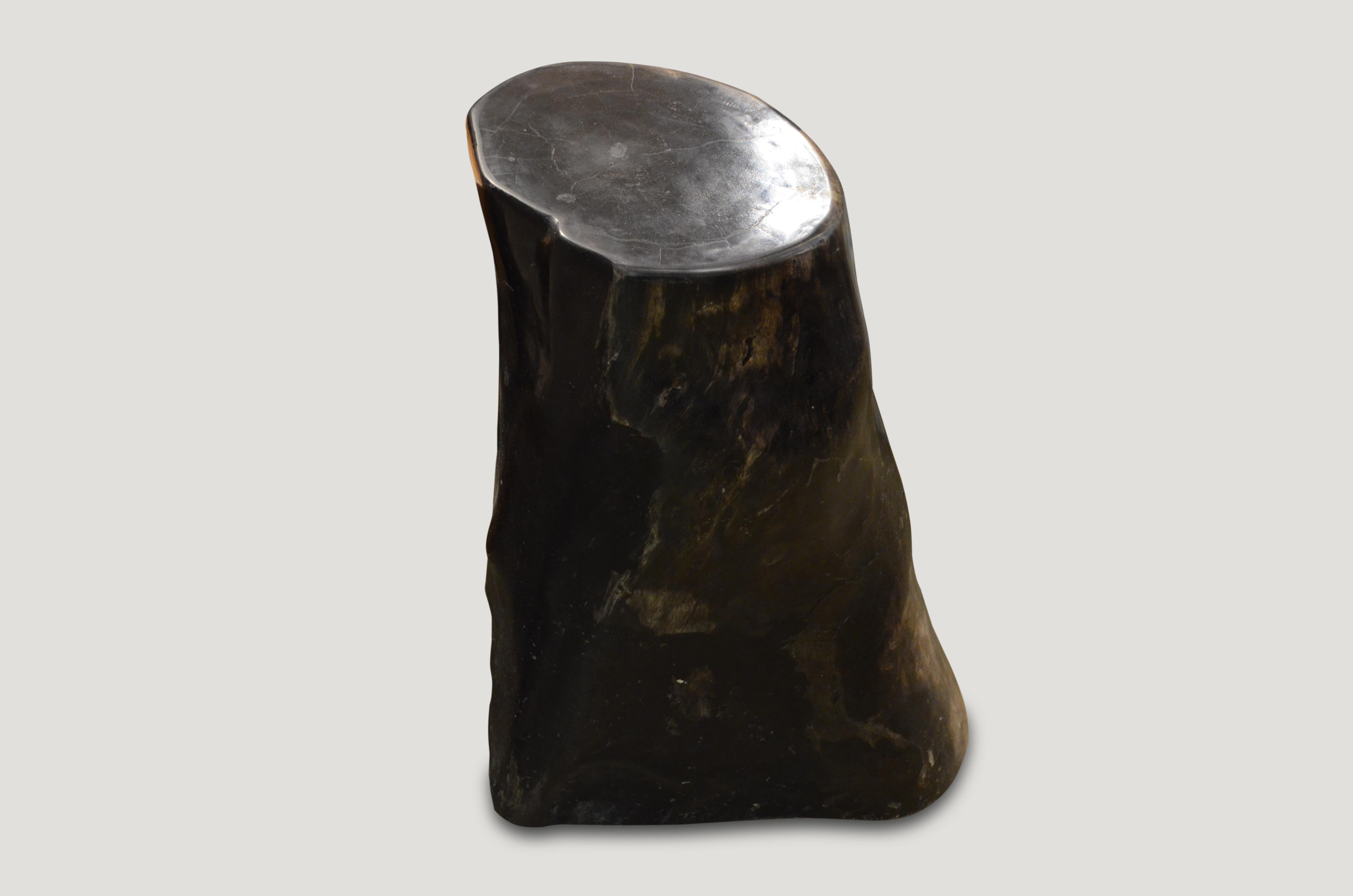 Black with charcoal grey and contrasting white tones on this super smooth petrified wood side table which resembles a male torso.

We source the highest quality petrified wood available. Each piece is hand-selected and highly polished with minimal