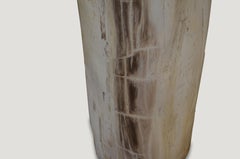 Andrianna Shamaris Super Smooth Petrified Wood Side Table