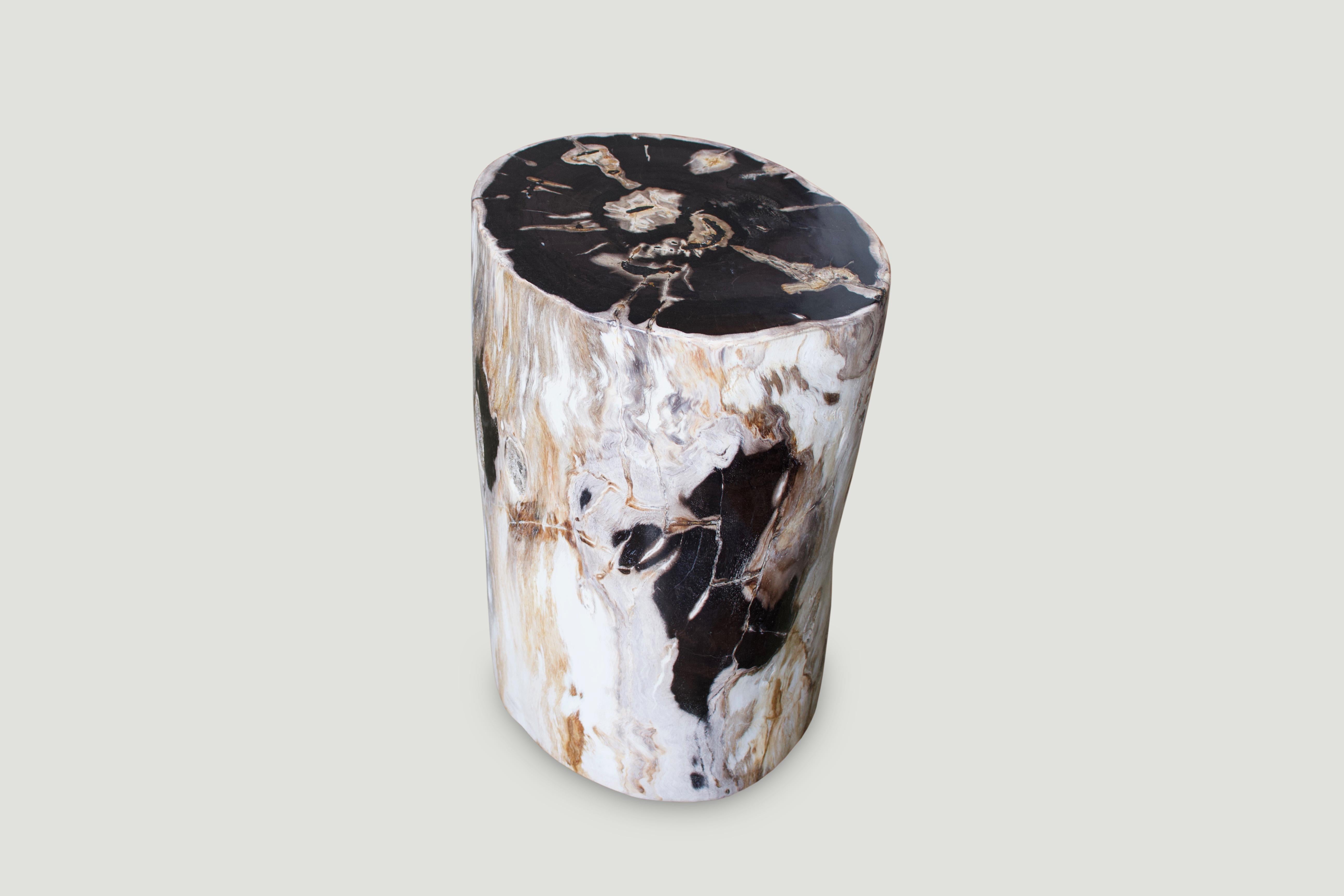 Fabulous natural contrasting color tones in this super smooth petrified wood side table.

We source the highest quality petrified wood available. Over 40 million years old. Each piece is hand selected and highly polished with minimal cracks.