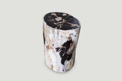 Andrianna Shamaris Super Smooth Petrified Wood Side Table
