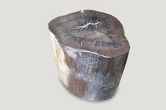 Andrianna Shamaris Super Smooth Petrified Wood Side Table