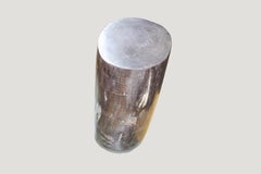 Andrianna Shamaris Super Smooth Petrified Wood Side Table