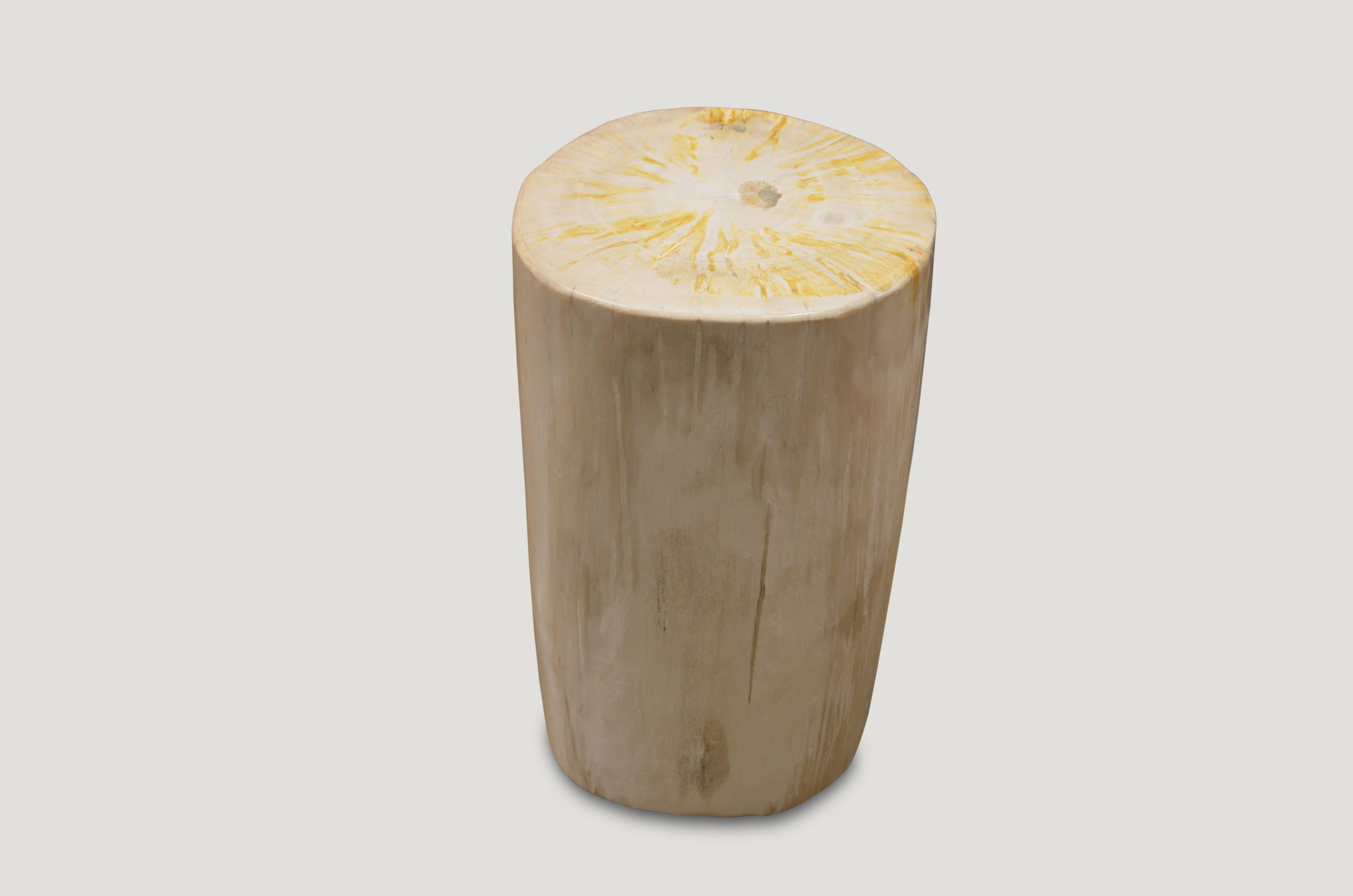 Soft creamy tones on this super smooth petrified wood side table or stool.

We source the highest quality petrified wood available. Each piece is hand-selected and highly polished with minimal cracks. Petrified wood is extremely versatile – even