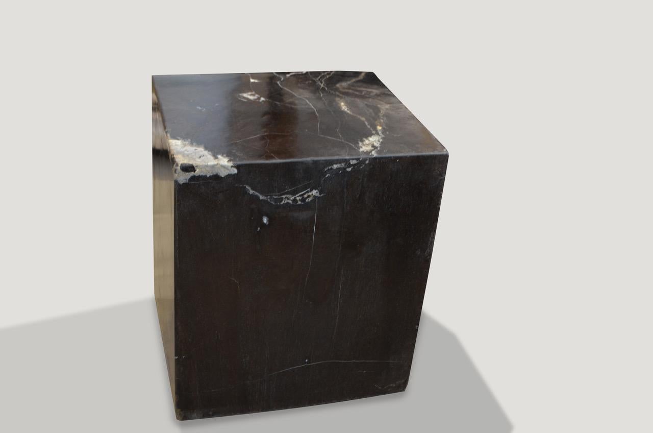 Cette table d'appoint en bois pétrifié de haute qualité et très lisse présente des tons impressionnants. Il est fascinant de voir comment Mère Nature produit ces stupéfiants troncs de teck pétrifiés vieux de 40 millions d'années, aux couleurs si