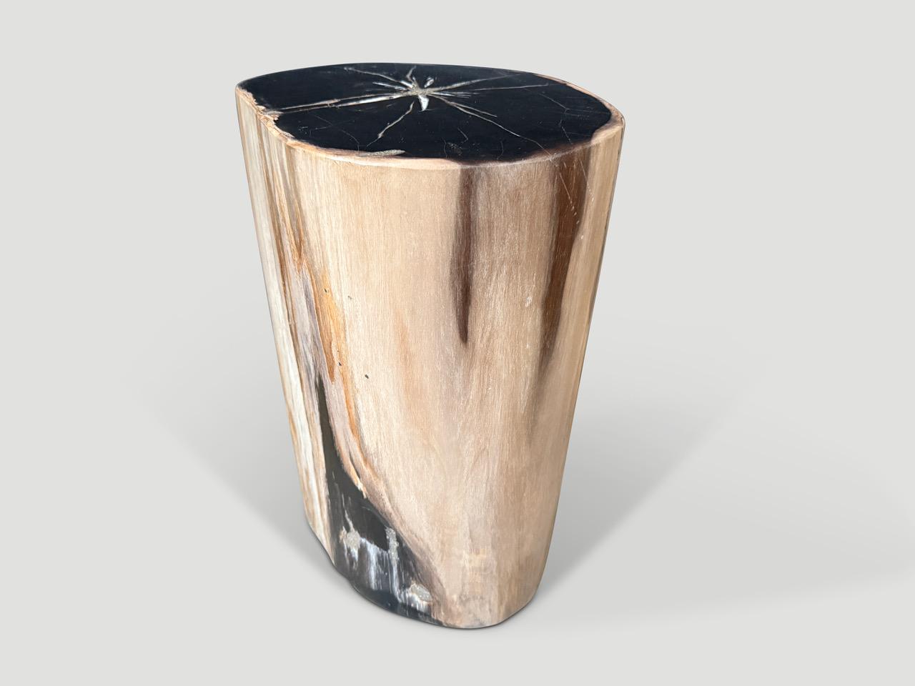 Impressive beautiful contrasting tones on this high quality petrified wood side table. It’s fascinating how Mother Nature produces these stunning 40 million year old petrified teak logs with such contrasting colors and natural markings throughout.