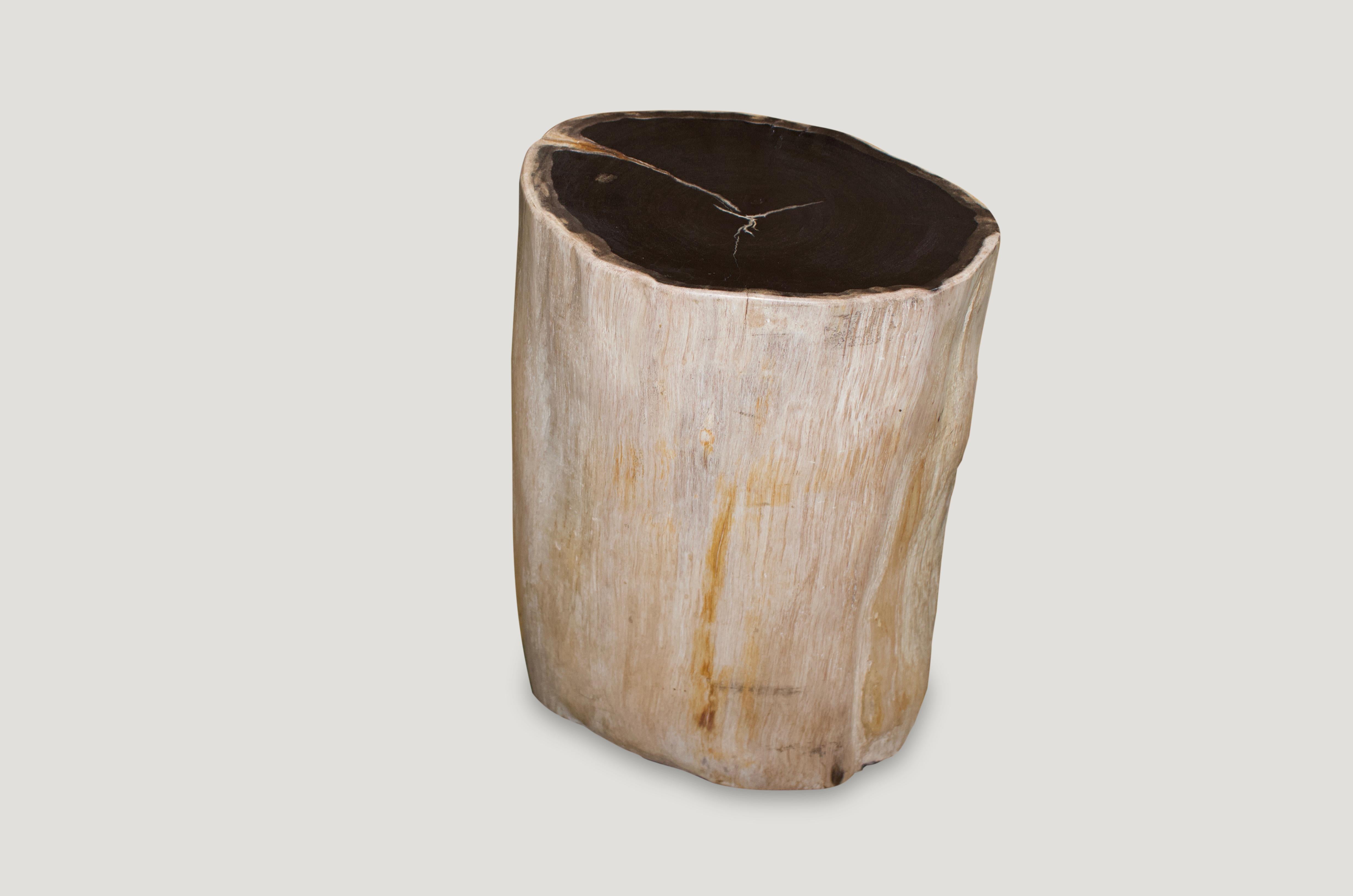 Organic Modern Andrianna Shamaris Super Smooth Petrified Wood Side Table