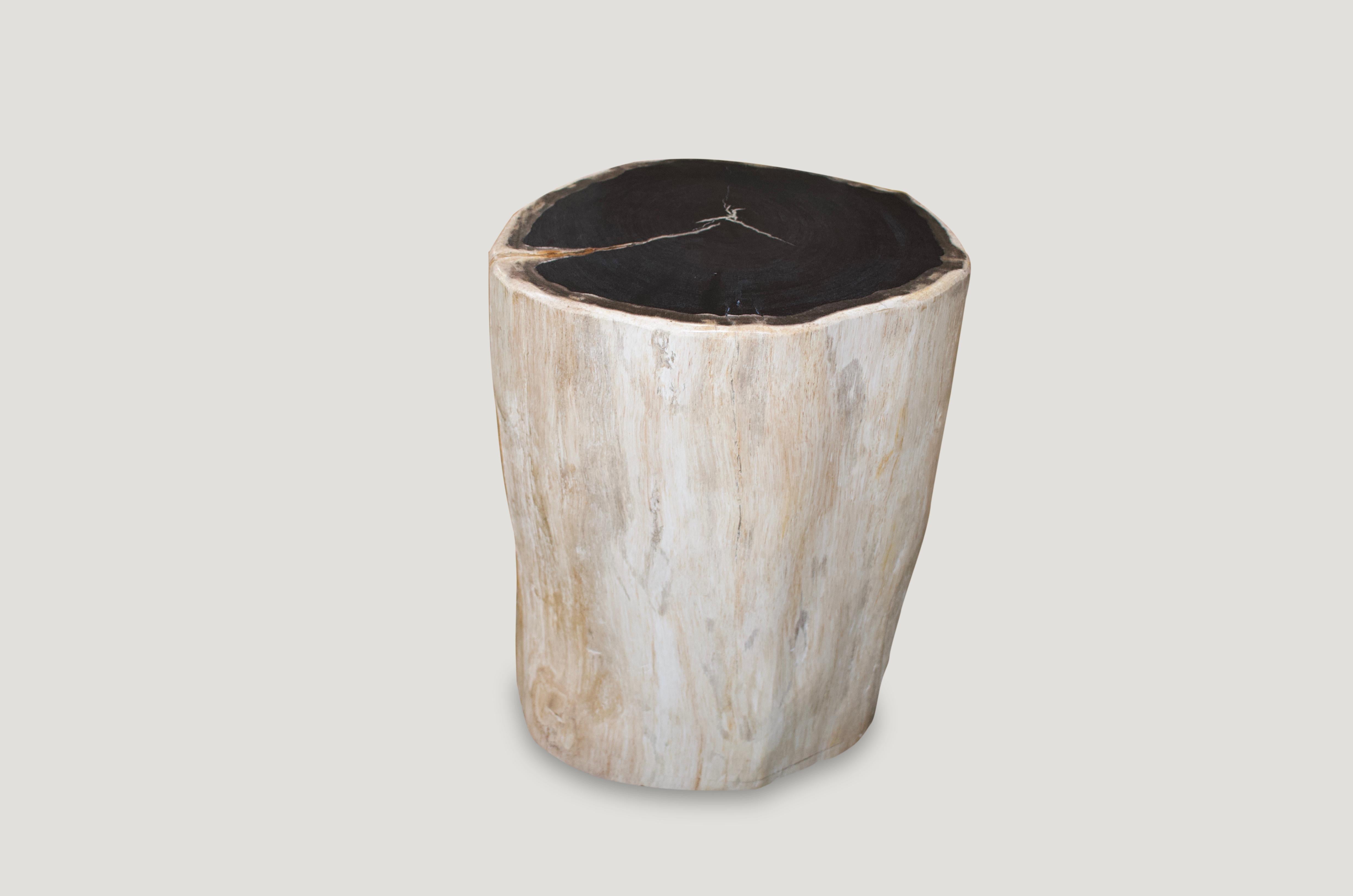 Organic Modern Andrianna Shamaris Super Smooth Petrified Wood Side Table