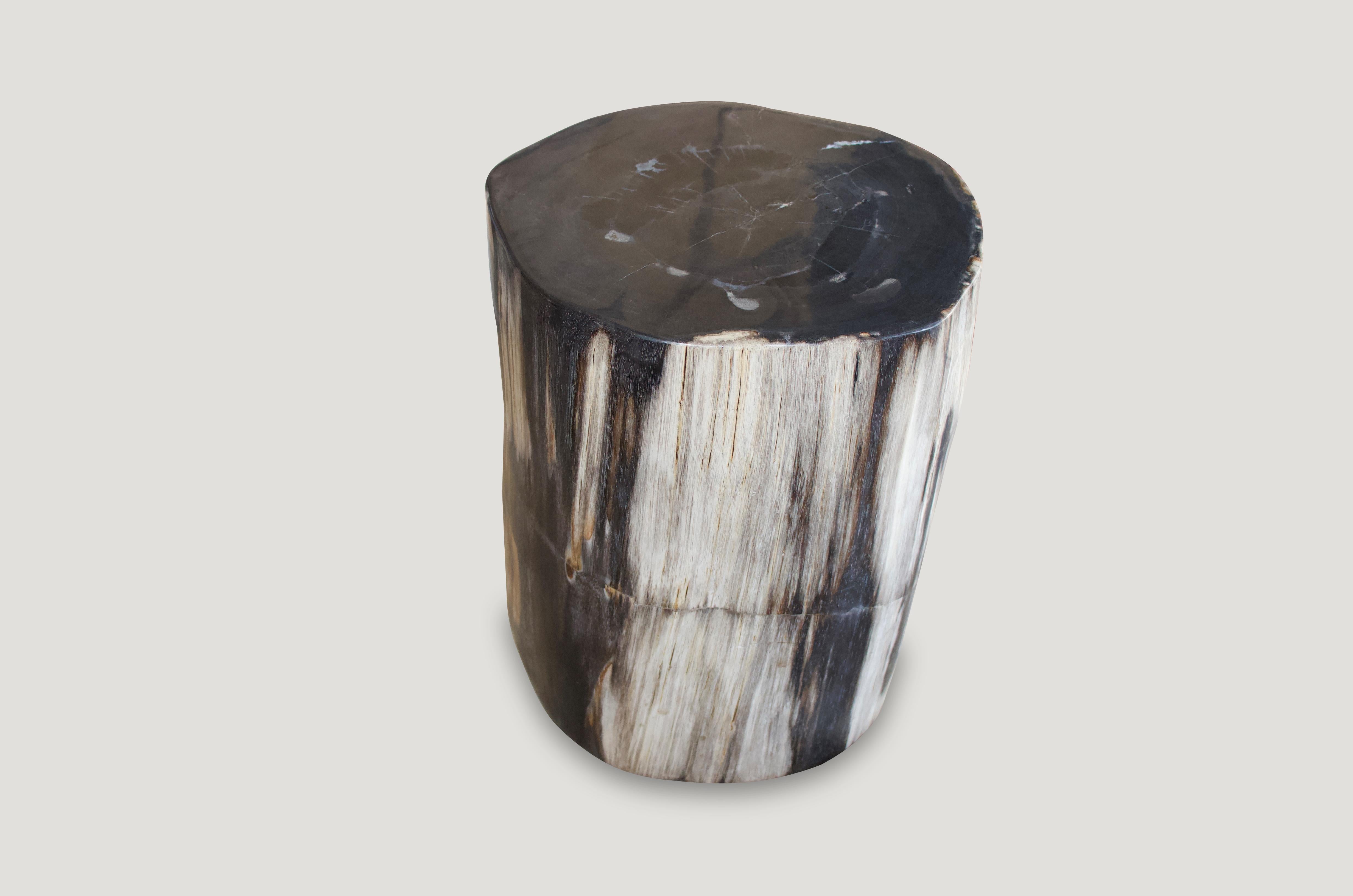 Organic Modern Andrianna Shamaris Super Smooth Petrified Wood Side Table