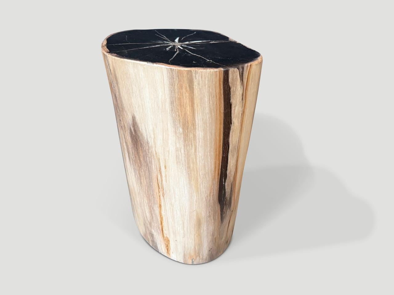 Organic Modern Andrianna Shamaris Super Smooth Petrified Wood Side Table For Sale