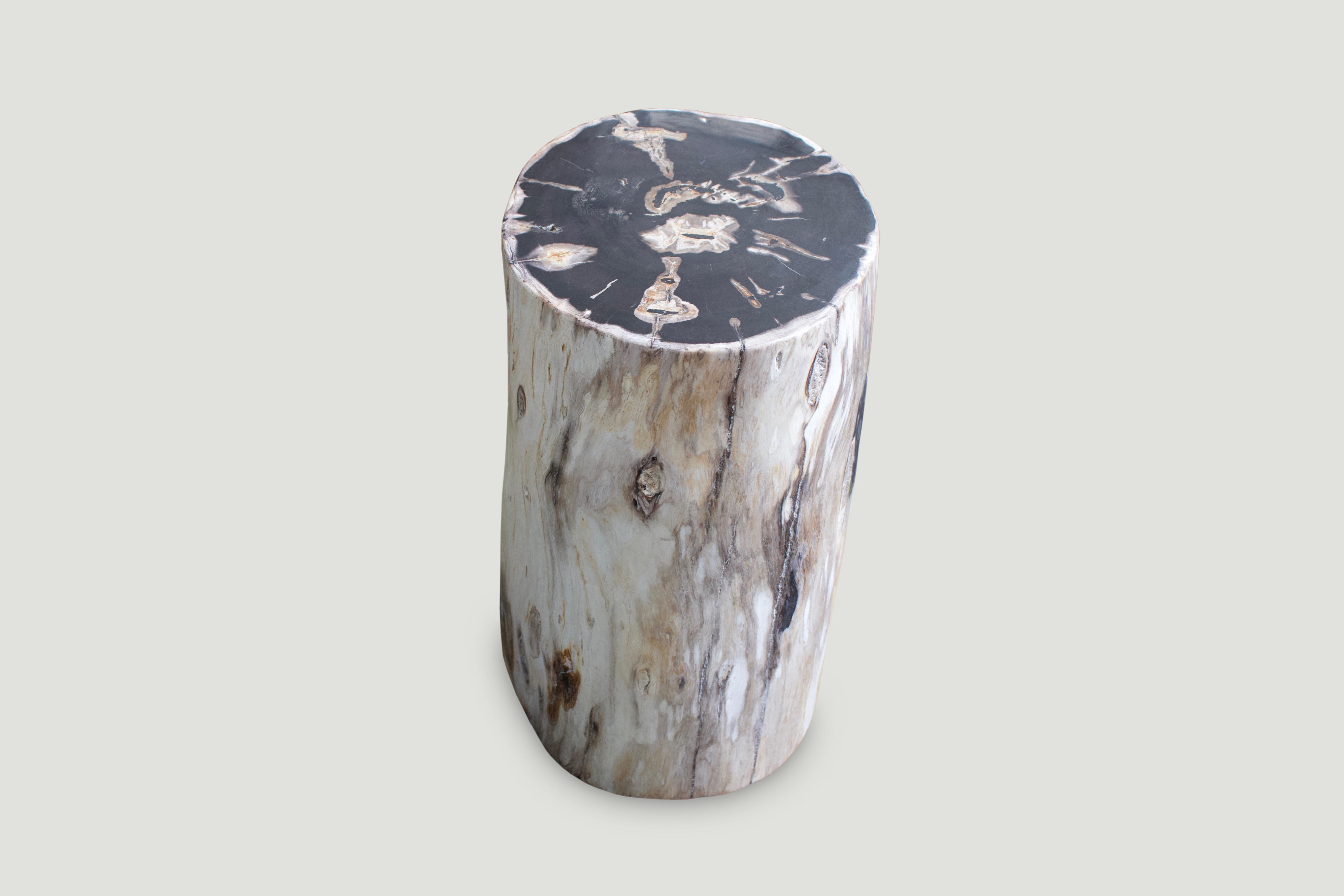 Andrianna Shamaris Super Smooth Petrified Wood Side Table In Excellent Condition In New York, NY