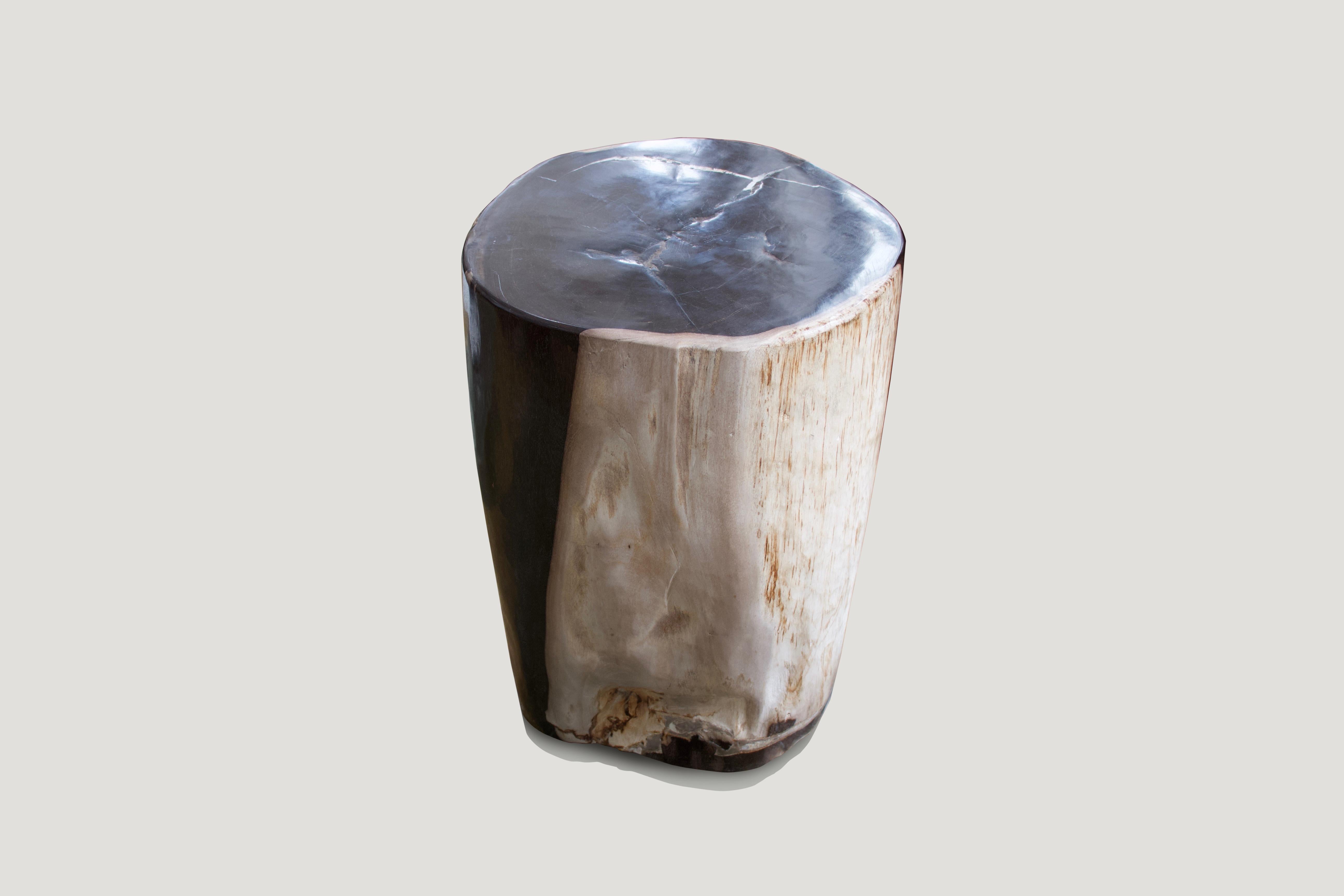 Andrianna Shamaris Super Smooth Petrified Wood Side Table In Excellent Condition In New York, NY