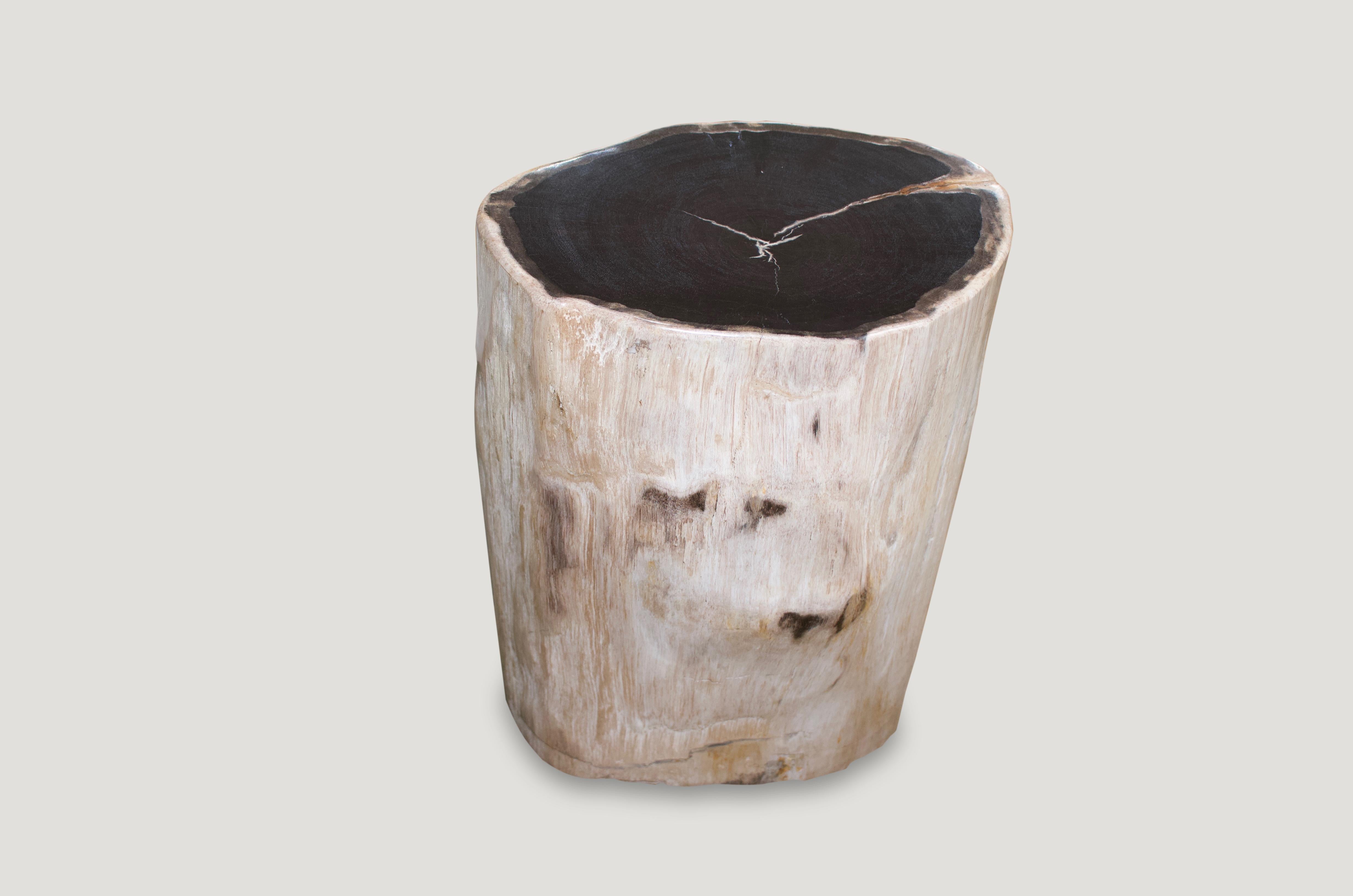 Andrianna Shamaris Super Smooth Petrified Wood Side Table In Excellent Condition In New York, NY