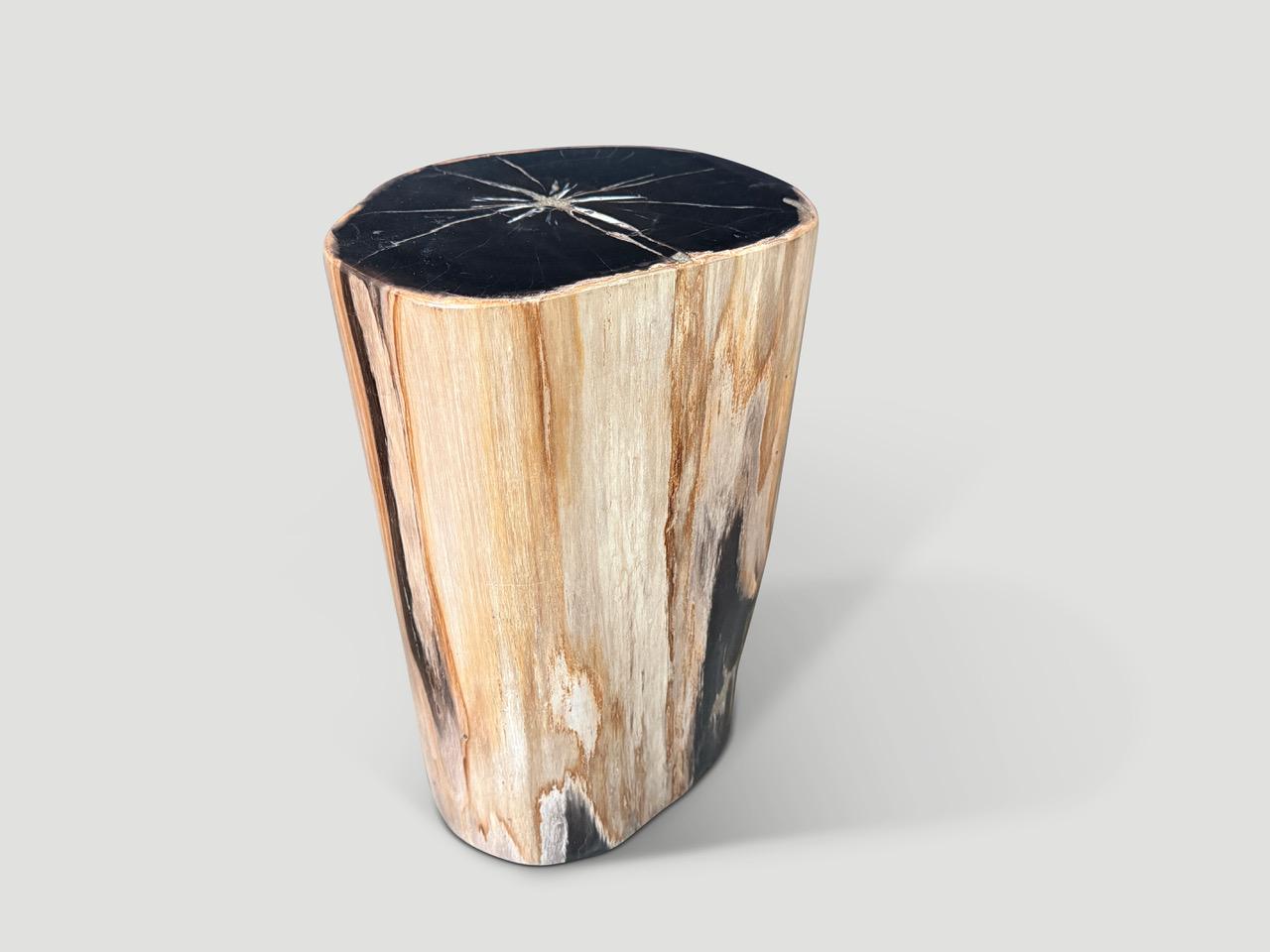 Contemporary Andrianna Shamaris Super Smooth Petrified Wood Side Table For Sale