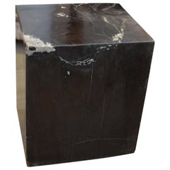 Andrianna Shamaris Super Smooth Petrified Wood Side Table