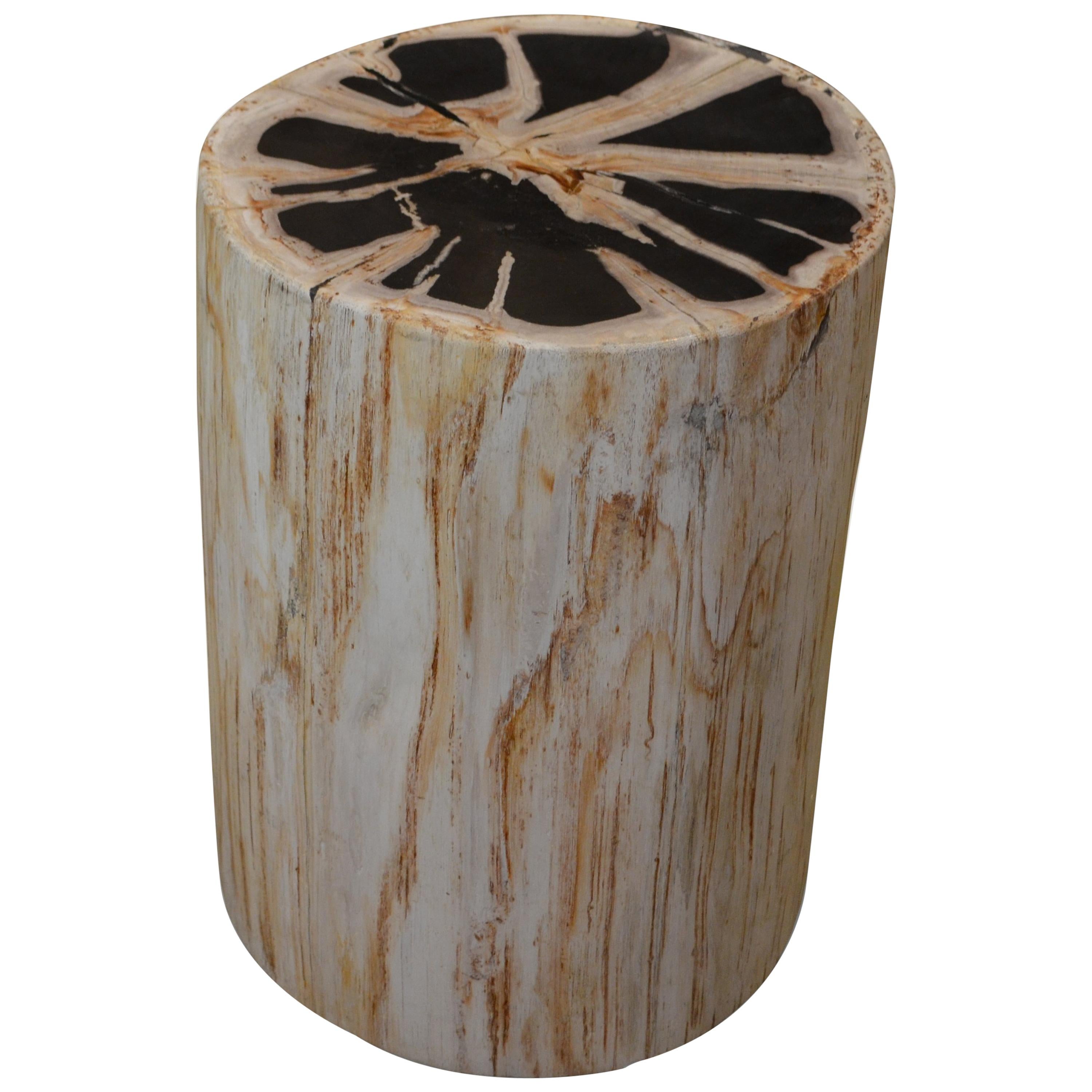 Andrianna Shamaris Super Smooth Petrified Wood Side Table