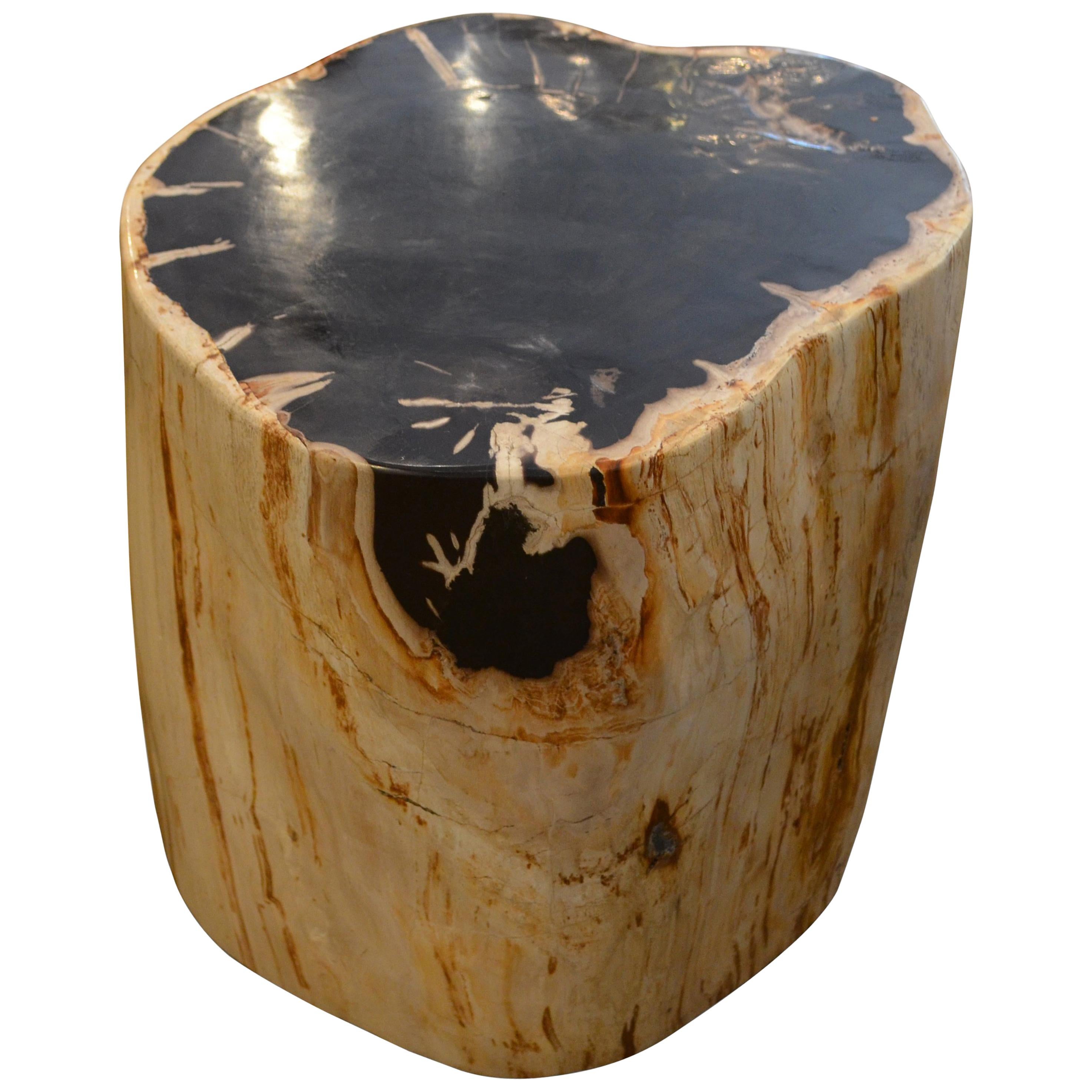 Andrianna Shamaris Super Smooth Petrified Wood Side Table