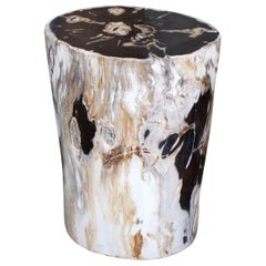 Antique Andrianna Shamaris Super Smooth Petrified Wood Side Table