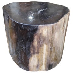 Antique Andrianna Shamaris Super Smooth Petrified Wood Side Table