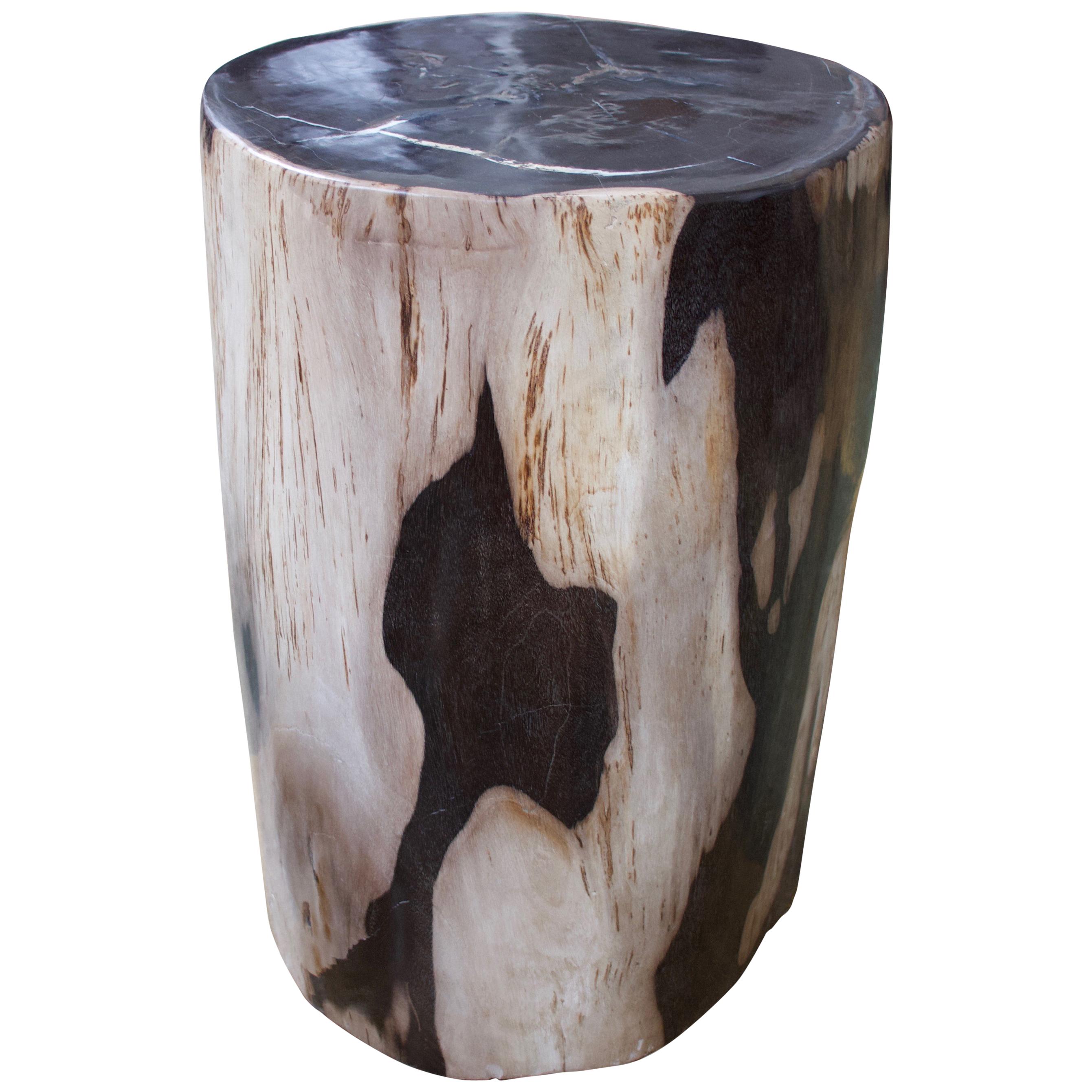 Andrianna Shamaris Super Smooth Petrified Wood Side Table