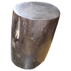 Andrianna Shamaris Super Smooth Petrified Wood Side Table