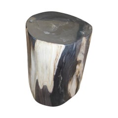 Antique Andrianna Shamaris Super Smooth Petrified Wood Side Table