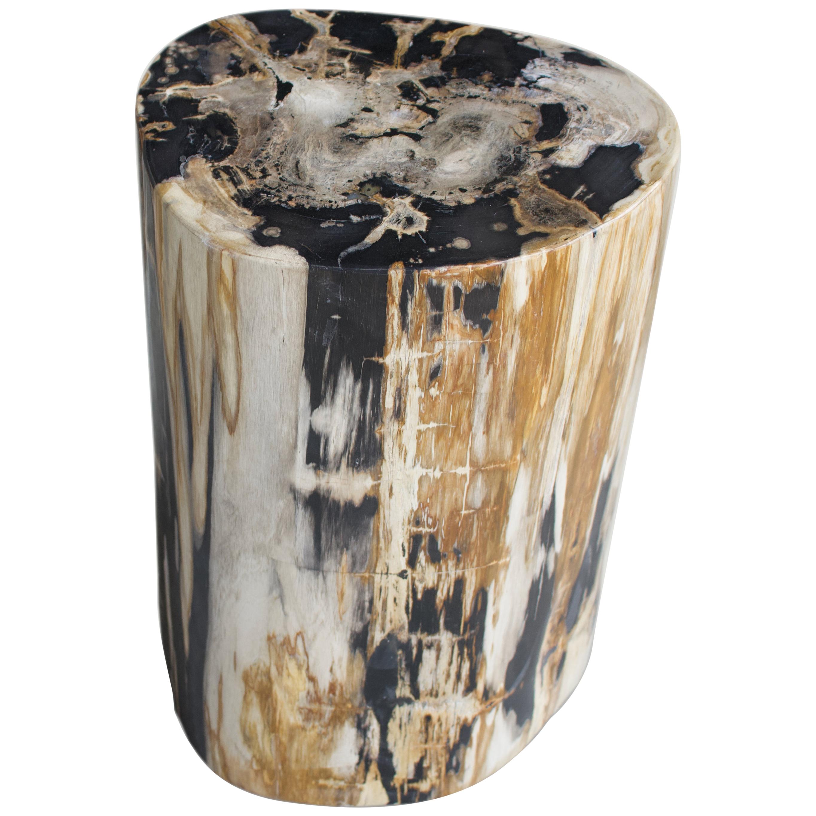 Andrianna Shamaris Super Smooth Petrified Wood Side Table