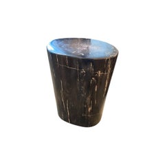 Andrianna Shamaris Super Smooth Petrified Wood Side Table