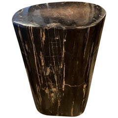 Andrianna Shamaris Super Smooth Petrified Wood Side Table
