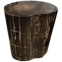 Andrianna Shamaris Super Smooth Petrified Wood Side Table